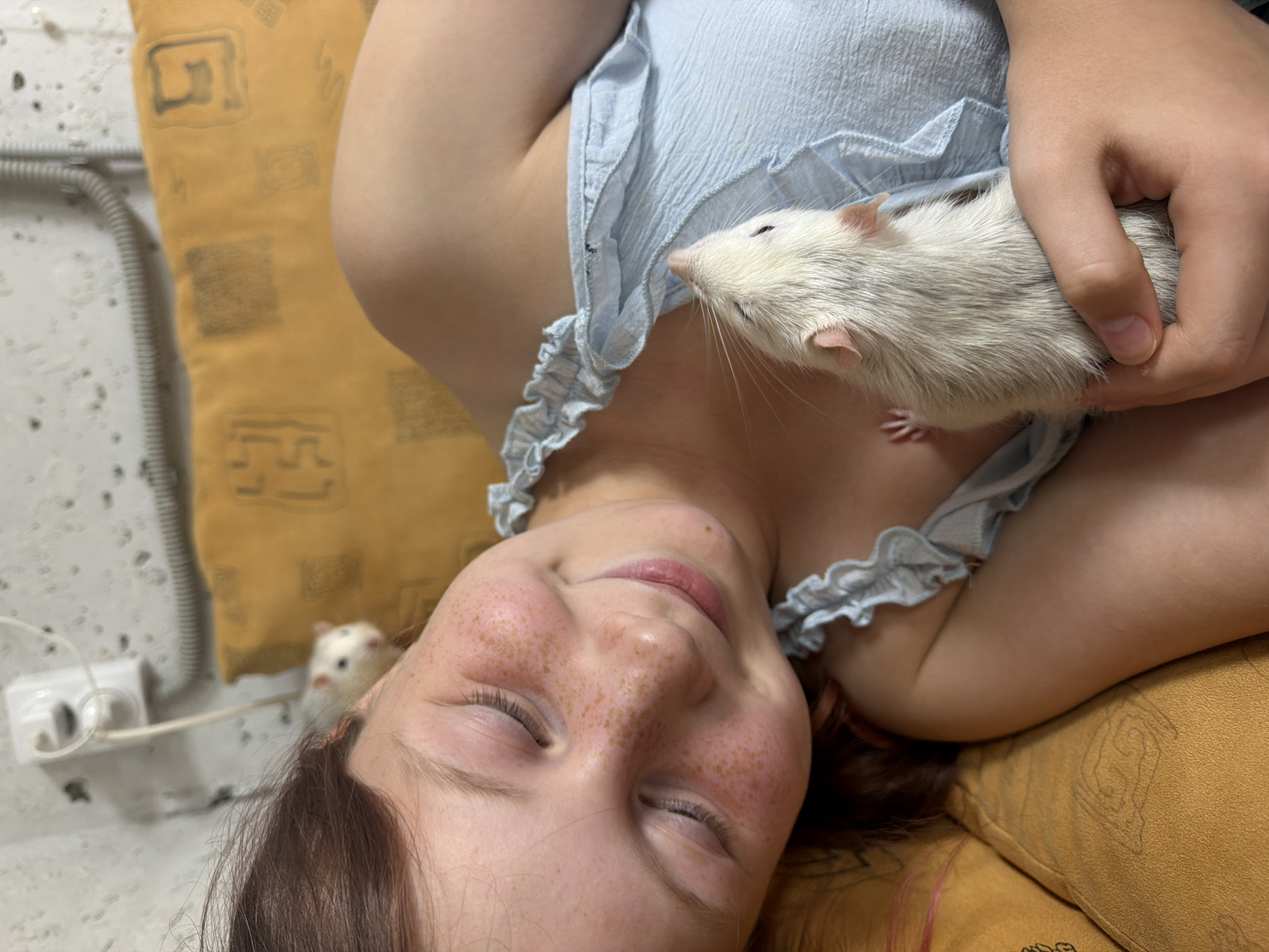 A young girl with light brown hair and freckles is lying down, smiling with her eyes closed. She is wearing a light blue top with ruffled straps. A white rat is resting on her chest, looking up at her. Another white rat is visible in the background, behind her head. They are on an orange-yellow patterned cushion. The background wall is textured and has a white electrical outlet with wires. The scene appears to be indoors, likely in a residential setting in the city of Dubovaya, Russia.