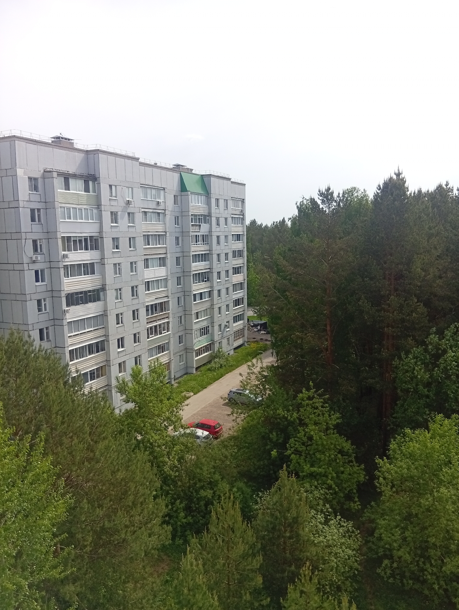 The image presents a view of a gray, multi-story residential building with numerous windows and balconies located in Chaikovsky, Russia. The building is situated adjacent to a dense forest area with a mix of evergreen and deciduous trees. A paved road runs along the side of the building, with several parked cars visible, including a red one. The sky is overcast, suggesting a cloudy day. The perspective suggests the photograph was taken from an elevated position, possibly from another building.