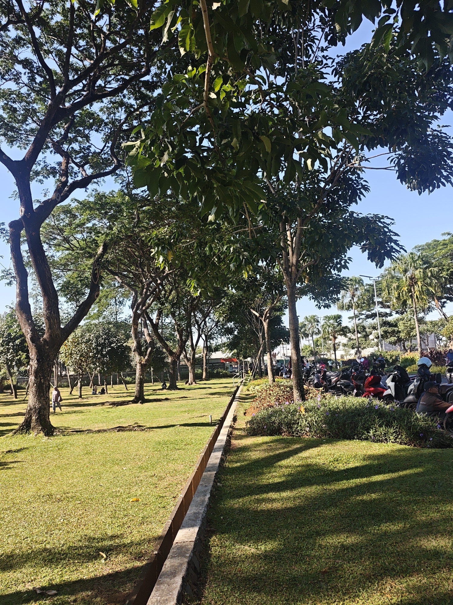 This image depicts a sunny park area with lush green grass and numerous trees. In the foreground, a drainage ditch runs along a paved walkway. To the right of the walkway, a patch of flowering plants and shrubs is visible, followed by a row of parked motorcycles. A person is walking on the grass in the middle ground, and several other individuals are seated or walking further back in the park. In the background, palm trees and other foliage can be seen, with a clear blue sky overhead. The overall impression is that of a vibrant, public outdoor space in Bacin, Indonesia, likely used for recreation.