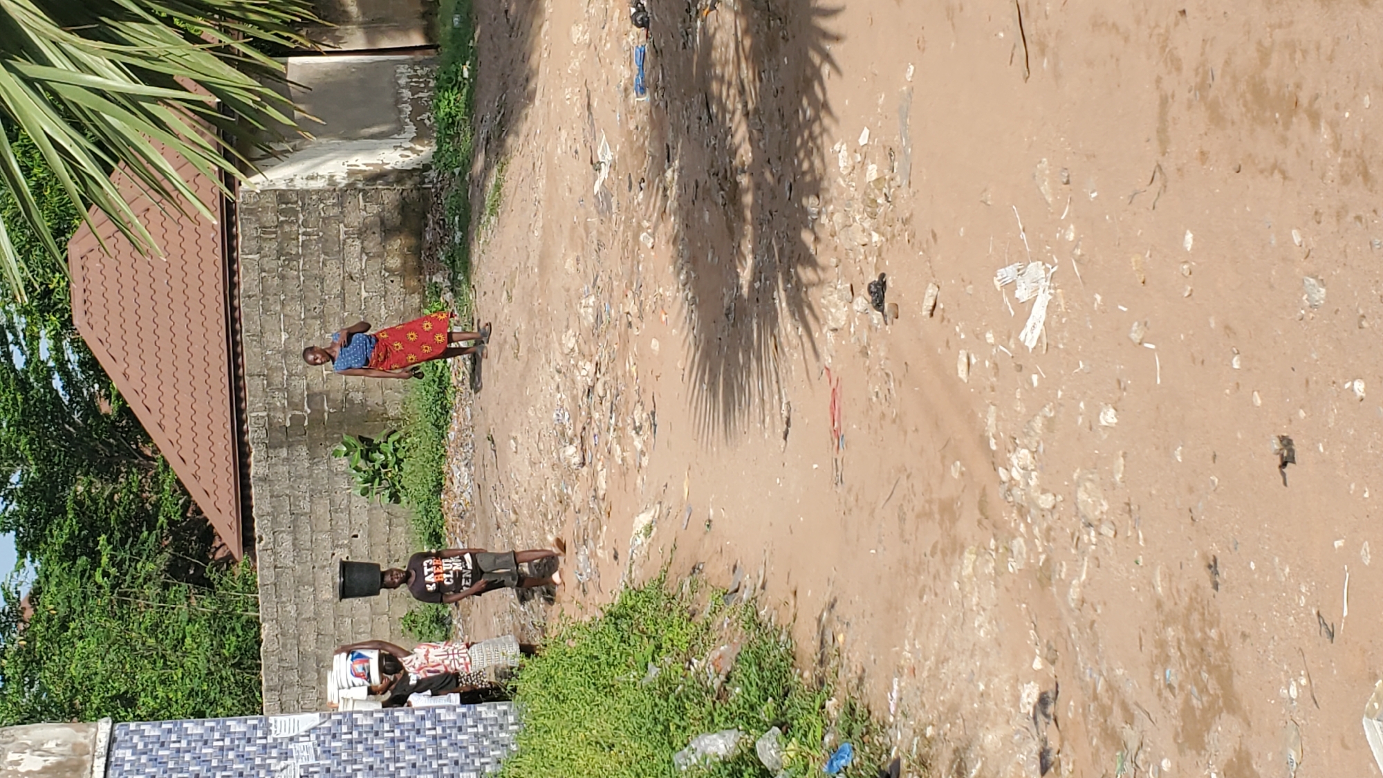 The image depicts an outdoor scene in a possibly informal settlement area in Jalingo, Nigeria. In the foreground, a sandy, dirt path is strewn with various pieces of debris, including plastic bags, white paper scraps, and other unidentifiable refuse. The path is uneven and appears to be well-trafficked. Lush green vegetation lines the left side of the path, with some rocks visible among the plants.
In the middle ground, three individuals are walking. On the left, two younger individuals, possibly children, are carrying buckets on their heads. One is wearing a white and red patterned top and a lighter colored skirt or wrap, with a white bucket balanced on their head. Next to them, another individual, wearing a black t-shirt with white lettering and dark shorts, carries a black bucket on their head. Further to the right, a young woman is walking towards the right of the frame, wearing a blue top and a red patterned skirt. She is looking towards her left.
In the background, a low-rise building with a brown, tiled roof is visible. This building is constructed with concrete blocks. Behind the building, the tops of trees can be seen against a clear sky. A tall green plant with large fronds extends into the right side of the frame from the top. The overall impression is one of a functional but somewhat untidy environment.