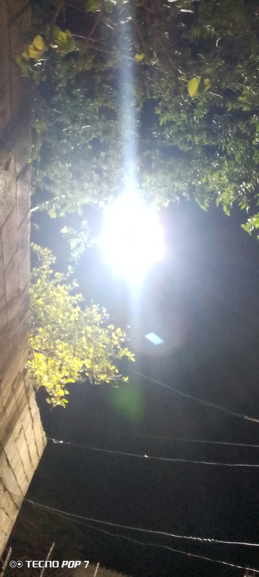 The image appears to be taken at night in Altagracia, Venezuela. The scene is illuminated by a bright light source, possibly a street lamp, that is obscured by foliage. A brick or concrete wall is visible on the left side of the frame. Leaves and branches from trees are seen above and to the right of the light. Power lines are visible against the dark sky, extending from the lower right toward the center. The bottom left corner shows the camera model "TECNO POP 7". No people or interactions are visible. The environment suggests an urban or suburban setting at night.