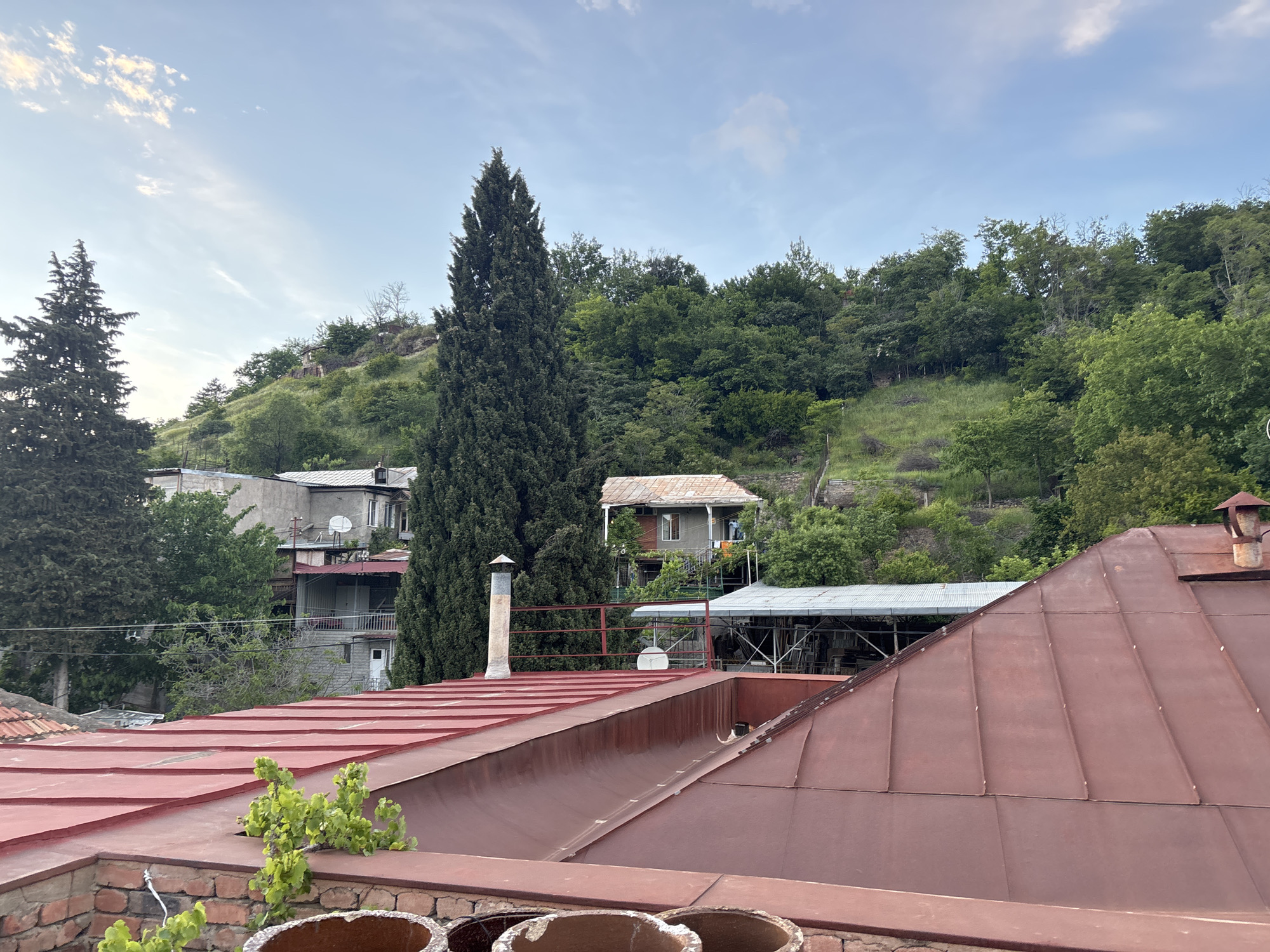 A cityscape in Tbilisi, Georgia, presents a scene dominated by red-brown tiled rooftops in the foreground. The roofs exhibit variations in their pitch and construction. A brick structure with planted vines provides the immediate base. Behind the rooftops, a landscape of dense green trees covers a rising hillside. Amid the foliage, buildings with traditional architectural elements are visible, interspersed with tall, slender cypress trees. The sky is pale blue, with wisps of white clouds scattered across its expanse. The overall composition suggests an intimate, residential area nestled within the undulating topography of Tbilisi.