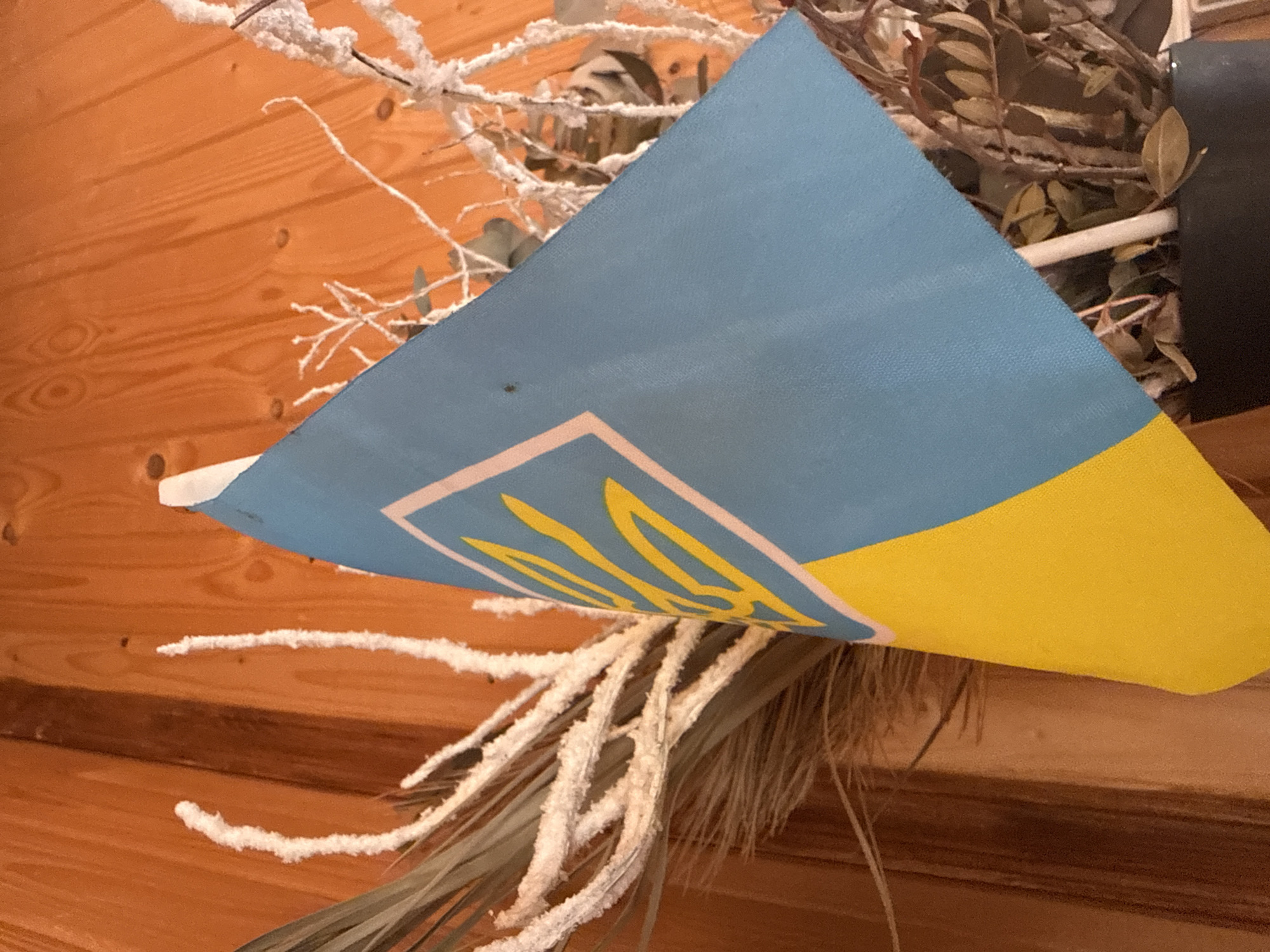 The image shows a close-up of a Ukrainian flag, featuring the blue and yellow colors and the trident emblem. The flag is positioned in front of a wooden background, possibly a wall or paneling, with visible grain and knots. To the left of the flag, there are dried plant elements that appear frosted or coated with a white substance. To the right, more dried branches and leaves are visible, some of which are also coated in white. The lighting suggests an indoor setting. There are no people or explicit indications of a specific city or location within the image itself.