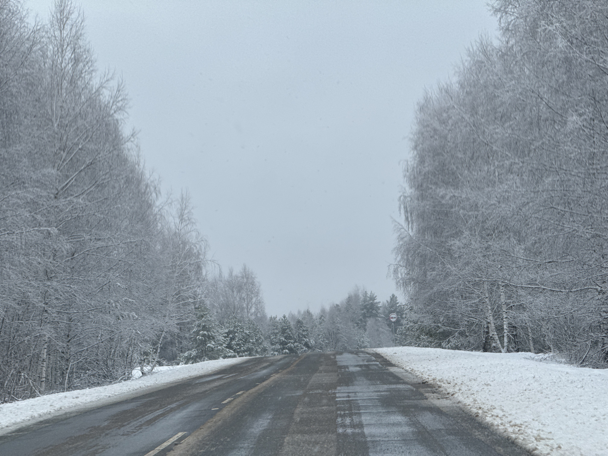 The image depicts a snow-covered road in Zhigalki, Russia. The road is wet and reflects the overcast sky. Snow blankets the ground on either side of the road and clings to the bare branches of trees lining the roadside. A road sign is visible on the right side of the road amidst the trees. The overall environment suggests a winter scene, potentially during or shortly after a snowfall.