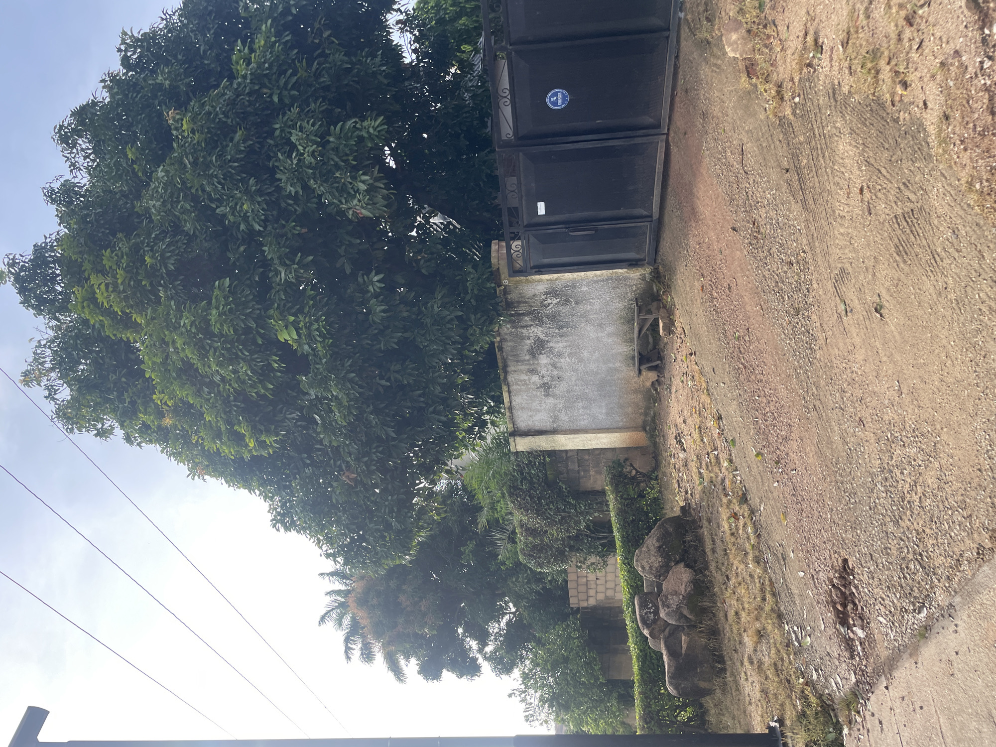 The image depicts an outdoor scene in Jos, Nigeria. In the foreground, a dirt and gravel driveway leads towards a black metal gate. To the left of the driveway, there is a concrete sidewalk and a cluster of large rocks. The driveway is lined with dry grass and scattered leaves.
The gate, which appears to be a double gate, is closed. It is made of black metal with decorative scrollwork at the top. A circular blue and white sticker is affixed to the right gate panel. Behind the gate, a concrete wall with a rough, weathered texture extends to the left. A small wooden bench is placed against the wall to the left of the gate.
Dominating the background is a large, mature tree with dense green foliage. The tree's branches spread widely, providing significant shade. To the left of the large tree, a palm tree is visible, and further to the left, other smaller trees and hedges create a lush, green backdrop. The sky above is overcast and bright, with visible power lines running diagonally from the upper left towards the right. The overall impression is of a residential property entrance in a moderately vegetated area.