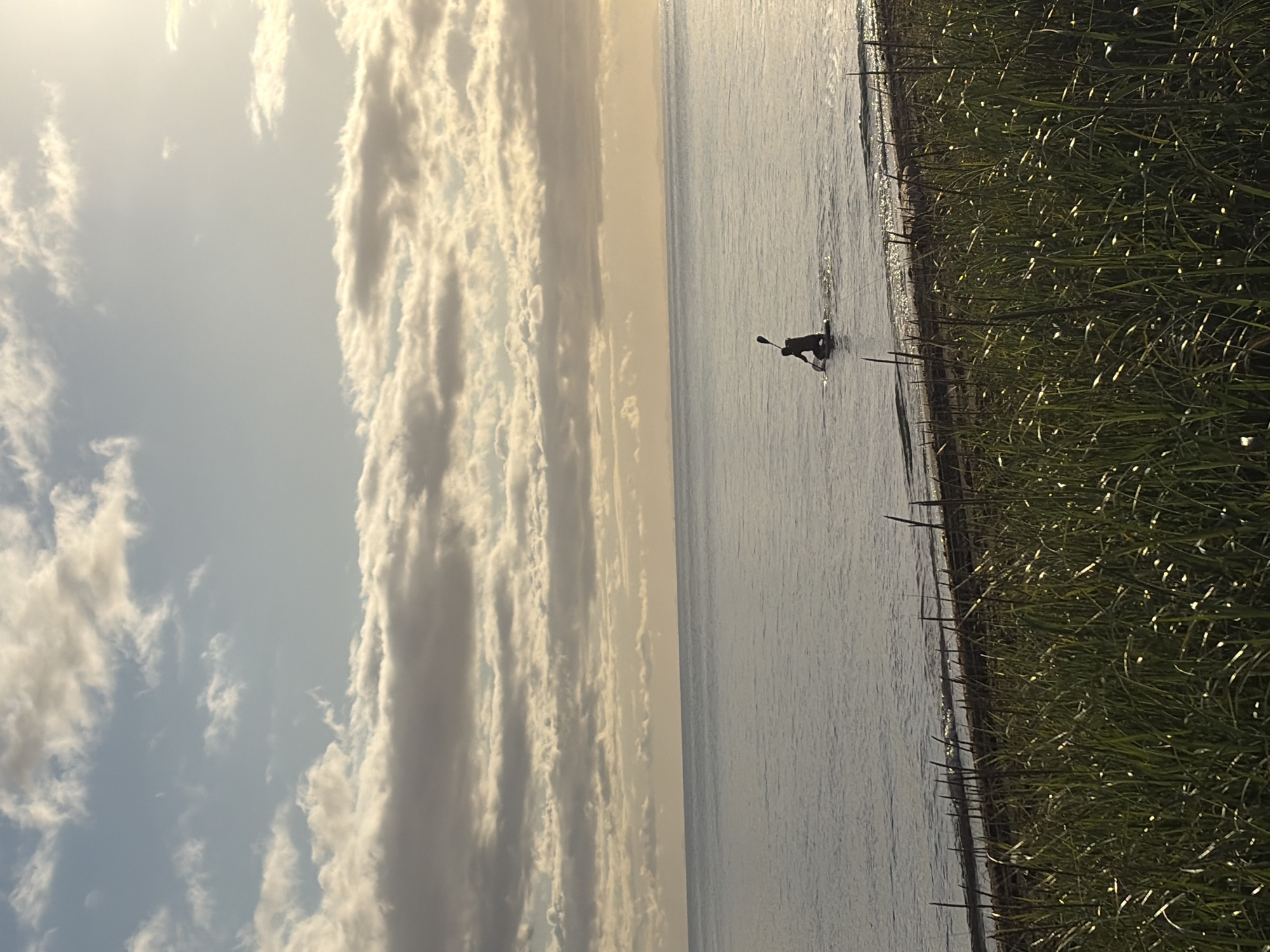 The image depicts a serene seascape with a person paddleboarding on calm waters. The sky is filled with a mix of soft clouds and sunlight, casting a warm glow over the scene. The foreground is dominated by lush green grass and reeds lining the shore, which meets a stretch of dark sand. In the distance, the horizon is a soft, hazy line where the water meets the sky, suggesting a clear day. The person on the paddleboard is silhouetted against the bright water, facing away from the camera and engaged in paddling. The overall impression is one of tranquility and outdoor activity.