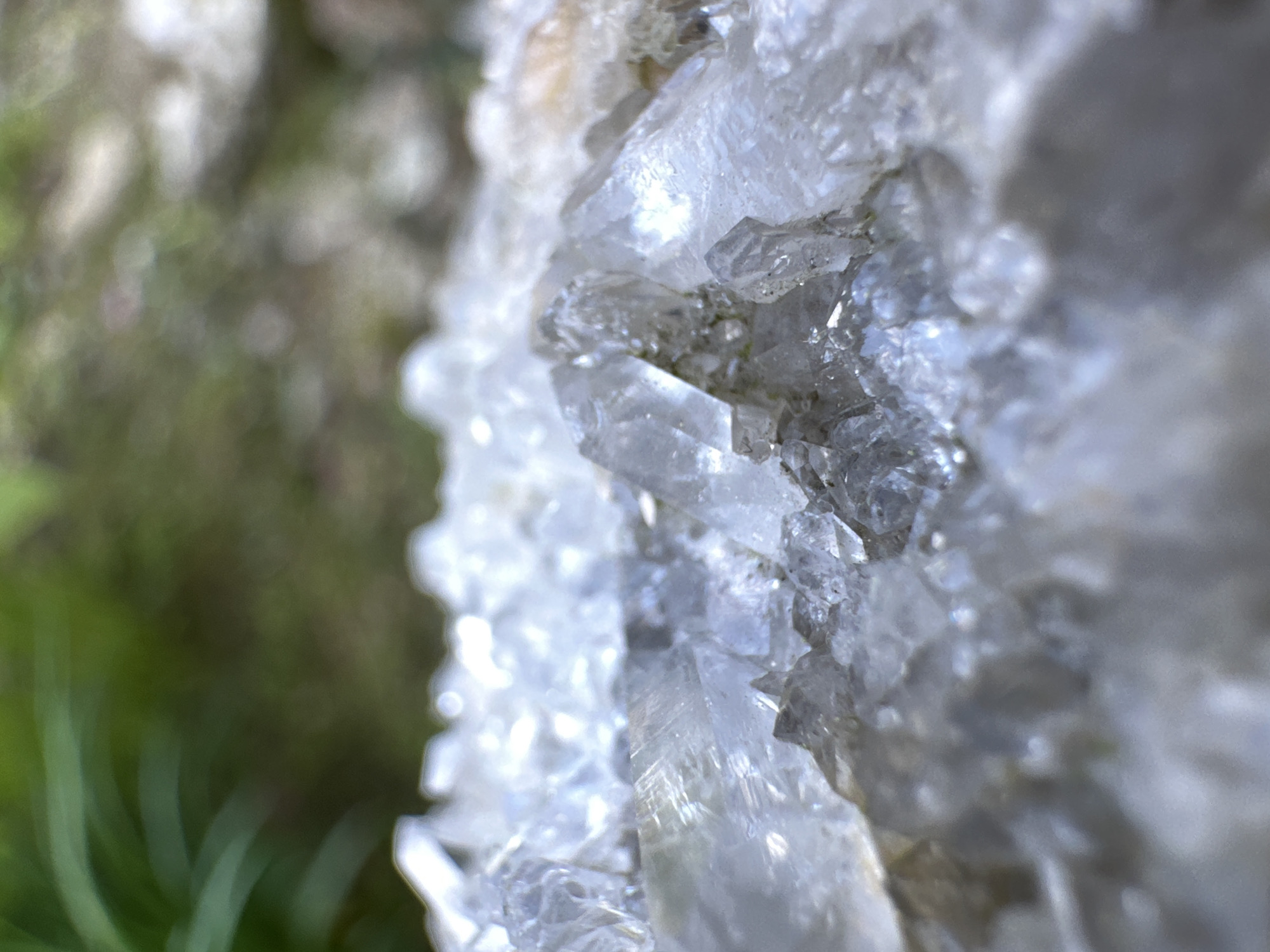 The image is a close-up, shallow depth-of-field photograph of a cluster of clear quartz crystals. The crystals are various sizes and shapes, with sharp facets and a translucent quality. Some of the crystals appear to have a slight cloudy or gray tint. The background is blurred, but appears to be an outdoor natural setting with green foliage and possibly some rocks or soil. The lighting suggests it is daytime, with bright highlights reflecting off the crystal surfaces. There are no people or animals visible in the image. The image does not contain any information about the city of Krasnaya Polyana, Russia, or any specific location.