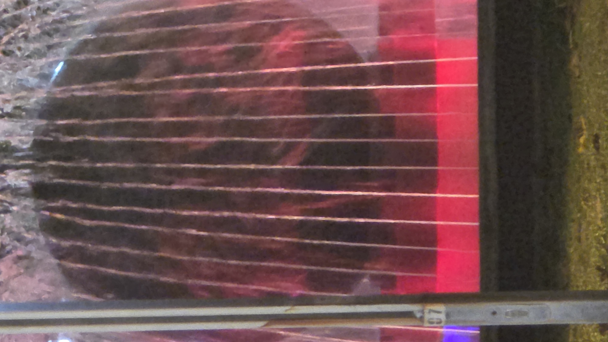 The image shows a view through blinds. Outside the blinds, there is what appears to be a sign illuminated in red, followed by a dark vertical object and a green surface. The location is Nha Trang, Vietnam. The blinds are in the foreground, with the objects outside being out of focus. There are no people visible in the image. A number "87" appears on a lower portion of the image.