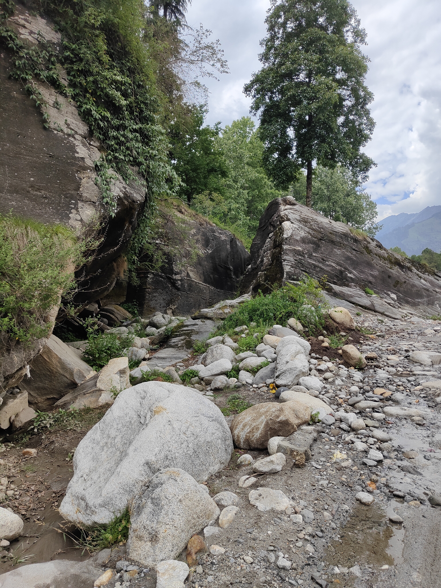 The image depicts a rocky, natural landscape with a stream bed. Large boulders, some covered in vegetation, dominate the foreground and midground. A significant rock formation, split in two, is visible in the center. Lush green trees and foliage are present on the left and in the background, with a tall tree prominently featured behind the split rock. The sky is overcast with scattered clouds. In the far background, mountain ranges are visible. The location is identified as Goshal, India. There are no people or animals visible in the image. The scene appears to be a natural, undeveloped area.