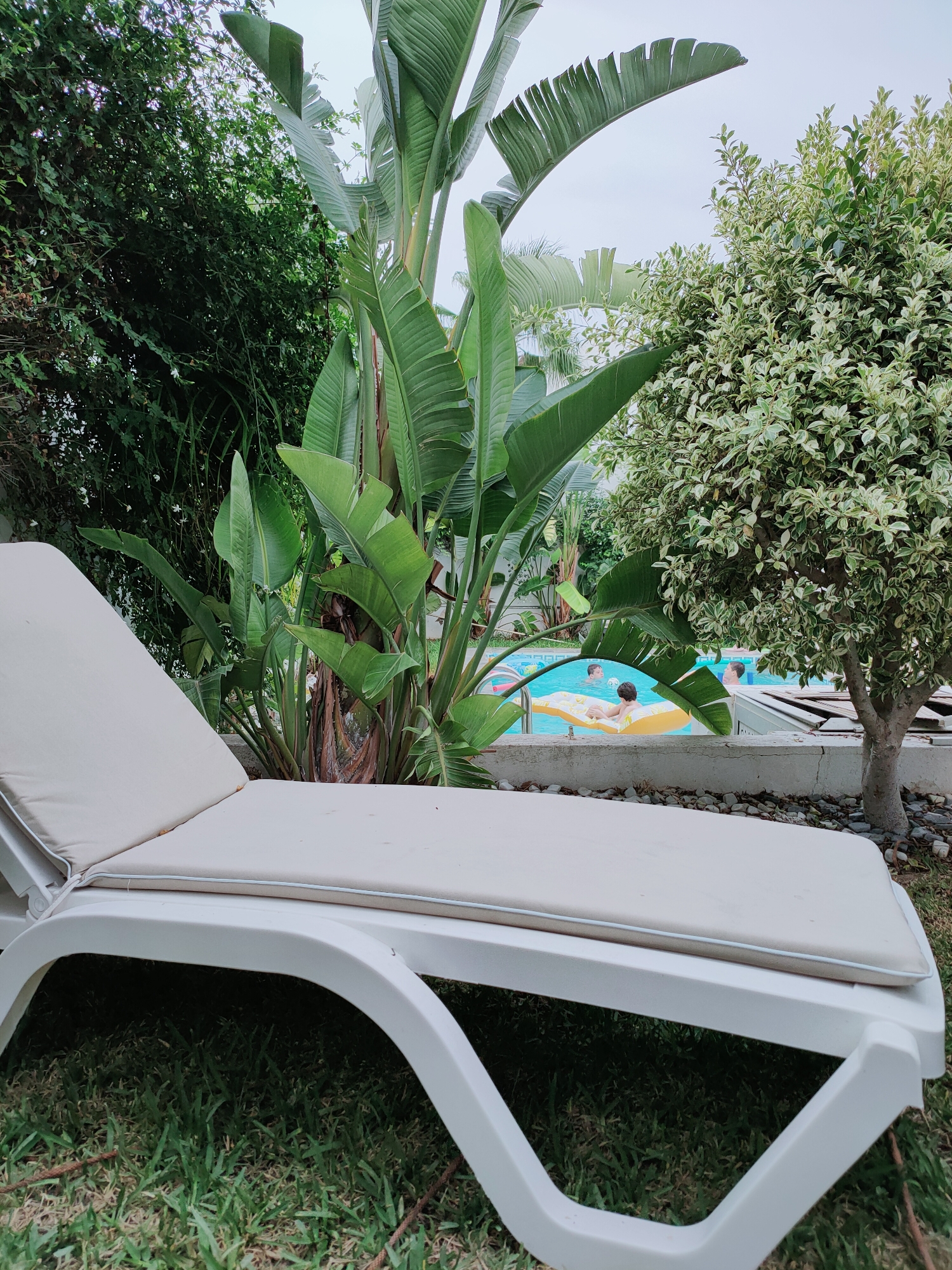 In Mrezga, Tunisia, a white chaise lounge with a beige cushion sits on a patch of green grass, angled towards a swimming pool. In the pool, three individuals are visible, two of whom are partially submerged and appear to be children. One child is on a yellow inflatable raft. Lush green foliage, including large-leafed plants resembling banana trees, and a variegated tree with white and green leaves, frame the pool area. The sky is overcast.