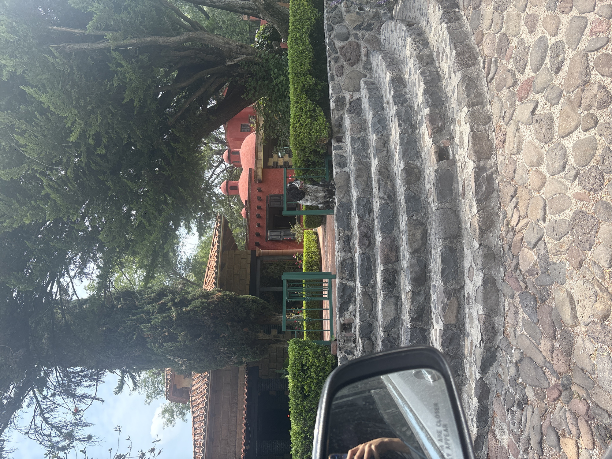 The scene depicts a view from a car driving along a stone-paved road in Cañada de Madero, Mexico. A grey stone staircase ascends to the left, bordering the road. Beyond a green hedge and gate, a red building with rounded domes is visible. A black and white dog is standing near the green fence. The side mirror of the car is visible in the foreground, reflecting the interior of the car. A large tree overhangs the scene, casting shadows.