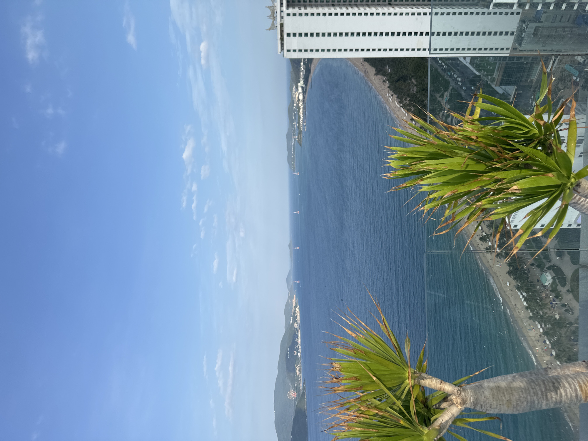 The image is rotated 90 degrees clockwise, presenting a high-angle panoramic view of a sunny coastal city.
On the left side of the rotated image, a clear blue sky with scattered white, wispy clouds dominates. Moving towards the center, a vast expanse of deep blue ocean stretches horizontally, featuring several small sailboats. A long, light-colored sandy beach curves along the coastline, bordered by urban development, including numerous buildings and patches of greenery. Distant green mountains or hills rise along the coast in the background.
On the top right, a large, white, multi-story building with a distinctive grid pattern of dark windows is prominent. A transparent glass barrier runs horizontally across the right side of the image, reflecting parts of the cityscape and sky. Two palm trees with green fronds and light brown trunks are visible on the far right, one closer to the viewer in the immediate foreground, and another slightly further back. Their leaves show some areas with brown, dried tips.
The scene depicts a bright, clear day, likely morning or afternoon, in a vibrant coastal location. Barely legible text, possibly "NOV", is faintly visible on a reflection within the glass barrier. The overall impression is that of a bustling tropical resort area, likely Nha Trang, Vietnam, as indicated by the context.