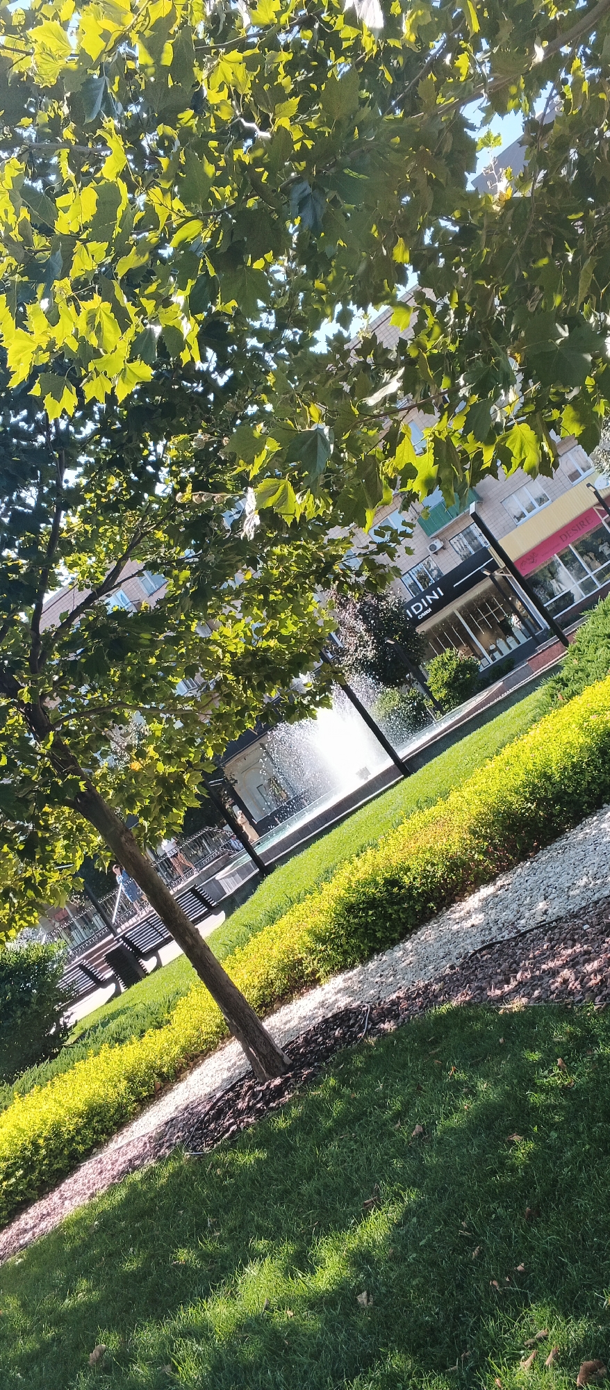 This image captures a sunlit urban park area with a foreground of lush green grass and a young tree. The park features manicured landscaping with rows of yellow and green bushes separated by a white stone path. In the mid-ground, a fountain sprays water, creating a misty effect. Behind the fountain, benches are visible, along with people walking. The background reveals buildings, one with a sign reading "DIBINI" and another with "DESIRE". The scene is oriented at an angle, suggesting it was taken from a slightly elevated or tilted perspective. This park setting, with its fountain and surrounding buildings, is located in the city of Cherkasy, Ukraine.