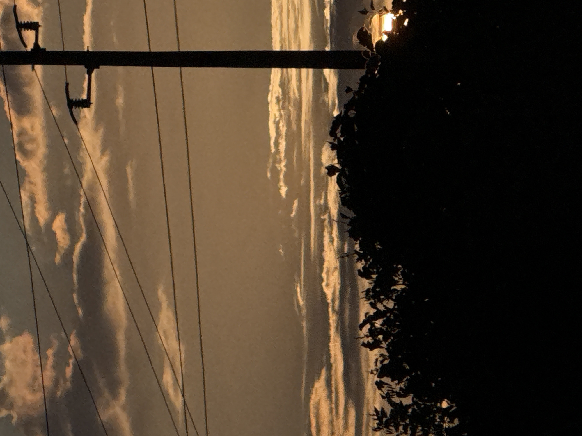 This image depicts a dusky sky with scattered clouds, illuminated by what appears to be a sunset or twilight glow, casting a warm, orange hue across the scene. Silhouetted against the sky are several power lines, stretching horizontally across the frame. A dark, vertical utility pole stands prominently on the right side of the image, equipped with insulators for the power lines. In the foreground, the dark silhouette of dense foliage obscures the lower portion of the scene, with only hints of a light source, possibly a lamp, visible within the vegetation on the right. The overall impression is of an outdoor scene, likely a semi-urban or rural environment, captured during the transition from day to night, with man-made infrastructure intersecting with natural elements. The specific location is Ledenik, Bulgaria.