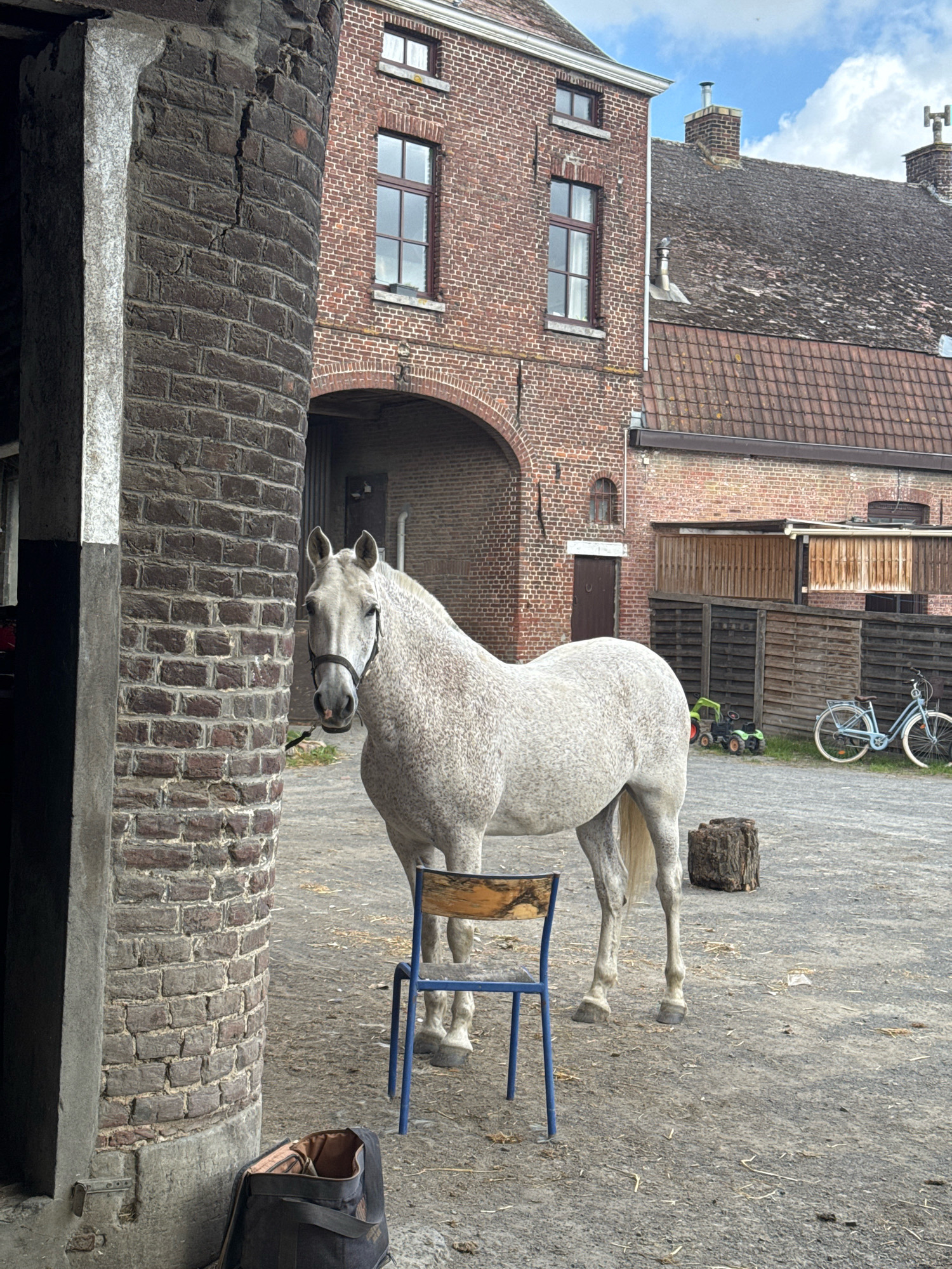 In Estaimpuis, Belgium, a light grey horse with dark speckles stands in a courtyard. The horse is wearing a dark bridle and is positioned in front of a rustic brick building with an arched entryway. To the left of the horse, a large, cylindrical brick pillar with some damage is visible, partially obscuring the building. In the foreground, a blue metal chair with a wooden seat is placed directly in front of the horse. The ground of the courtyard is composed of loose gravel and dirt. Behind the horse, a wooden fence encloses part of the area. To the right of the fence, a blue bicycle and two small green toy tractors are present. The sky above is partly cloudy.