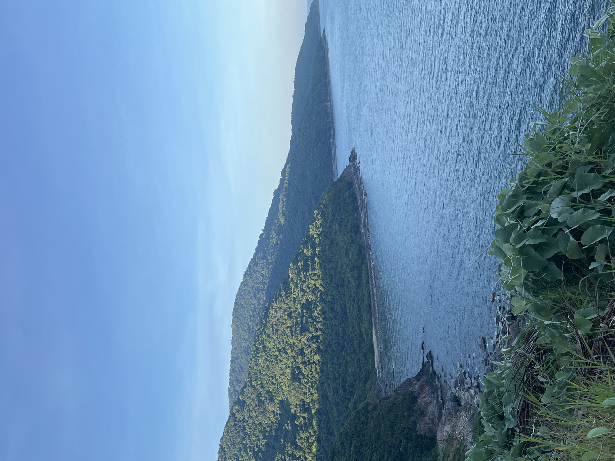 The image depicts a coastal landscape in Đà Nẵng, Vietnam. Two prominent peninsulas covered in dense, green forest extend into a body of water. The water appears calm with a slight ripple effect. The coastline features rocky cliffs. In the foreground, vegetation grows on the edge of a cliff, framing the view. The sky is clear and blue.