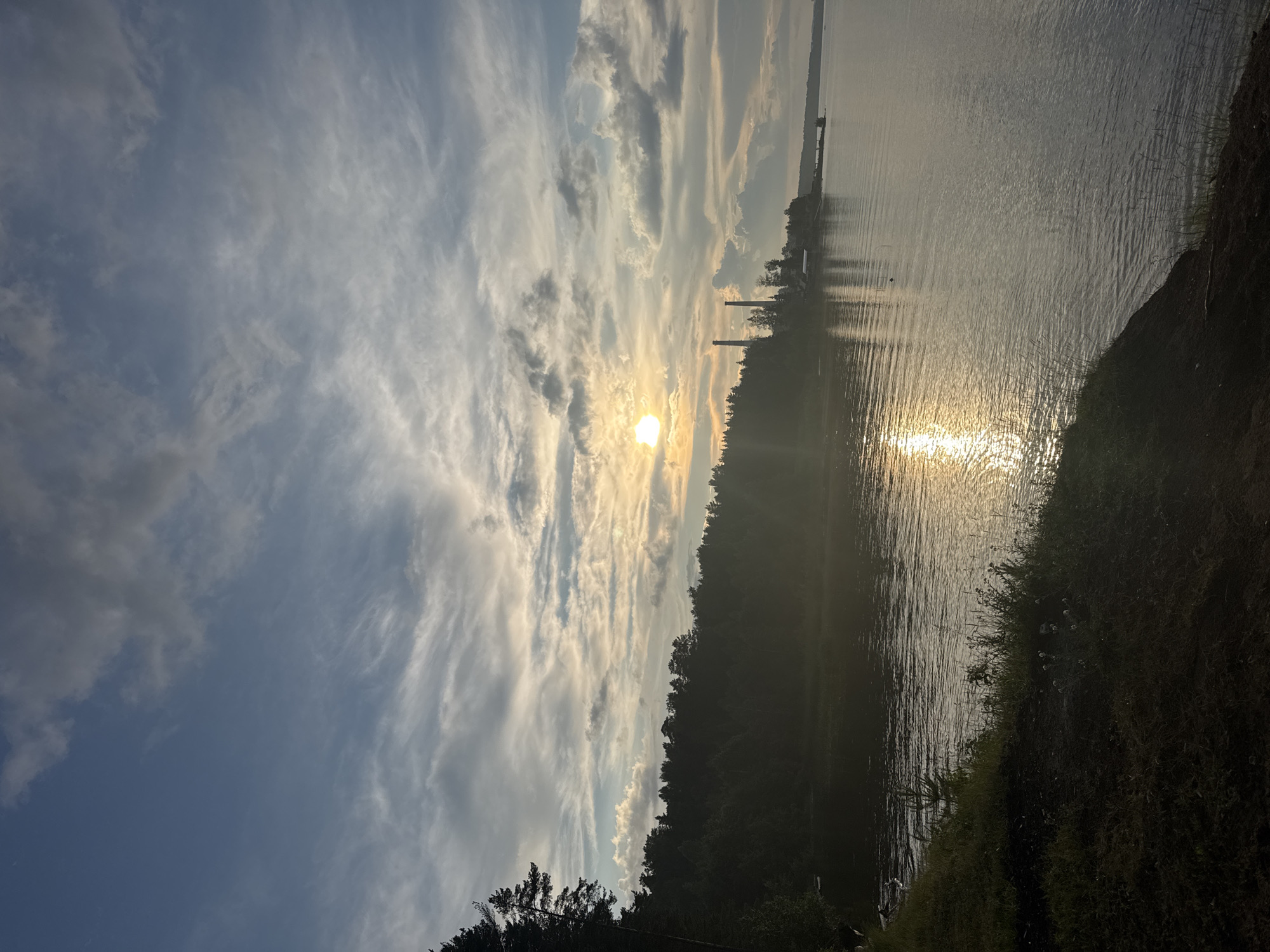 The image depicts a sunset scene over the Kama River in Chaikovsky, Russia. A dense forest lines the riverbank on the left side, with a tall, dark evergreen tree prominently silhouetted against the sky on the far left. The water reflects the golden hues of the setting sun, creating a shimmering pathway across its surface. In the distance, across the river, industrial structures with two prominent smokestacks are visible, along with a few buildings and a pier. The sky is a mix of blue and gray clouds, with the sun partially obscured by wispy, elongated clouds, casting a warm glow on the horizon. The foreground features a grassy embankment with patches of dark soil.