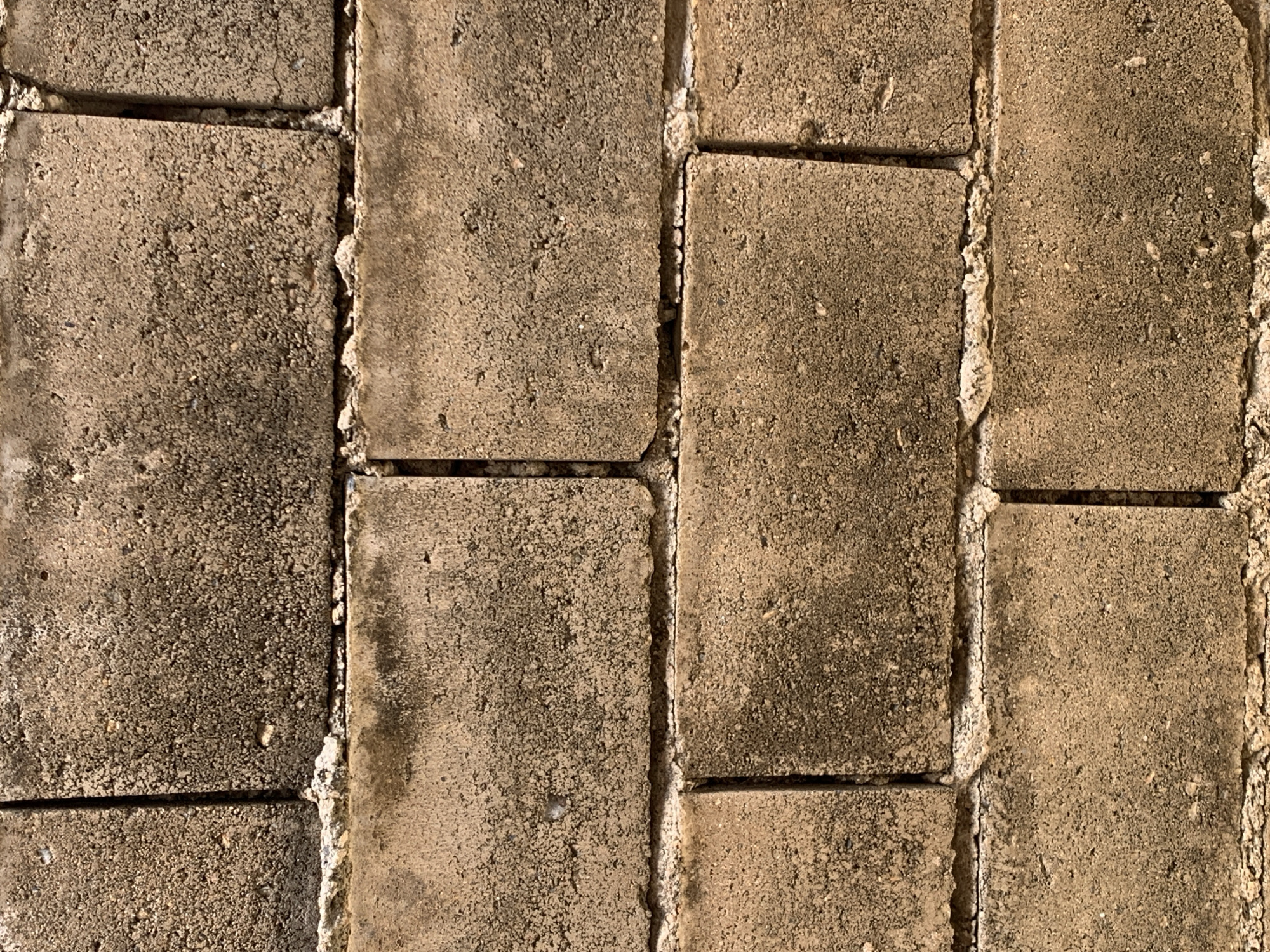 This close-up, top-down image presents a textured surface composed of rectangular paving stones, likely concrete or similar masonry, forming an outdoor pathway or wall in Santa Ana, Venezuela. No people or specific activities are visible, emphasizing the static, material nature of the scene.
The paving stones are arranged in an interlocking pattern, with clear vertical and horizontal joints. Their surfaces are rough, granular, and show significant signs of wear and weathering. The predominant colors are muted earth tones, ranging from light beige to darker browns and grays. Many stones exhibit dark, irregular stains, possibly indicating accumulated dirt, moisture, mildew, or algae growth, contributing to a weathered and aged appearance.
The joints between the stones are filled with mortar, which appears somewhat uneven, cracked, and has partially crumbled in places. Some areas show the mortar extending slightly over the edges of the stones, creating a rugged and imperfect finish. The texture of the mortar is also rough and granular. The lighting suggests it is daytime, with direct light illuminating the surface and highlighting its coarse details and slight variations in relief. There is no visible text in the image.