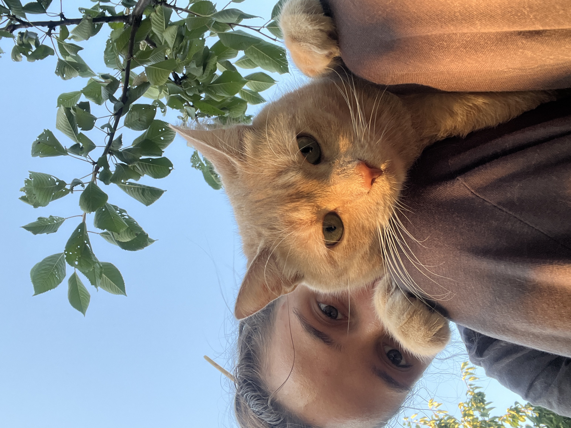 A young person with dark hair pulled back, looking towards the camera, has an orange cat resting on their shoulder. The cat is facing the camera, with its head tilted slightly. Green leaves and branches of a tree are visible against a clear blue sky in the upper portion of the image, with the lower portion showing the person's shoulder and upper arm, and the cat's body nestled against it. Sunlight casts a warm glow on the cat's fur.