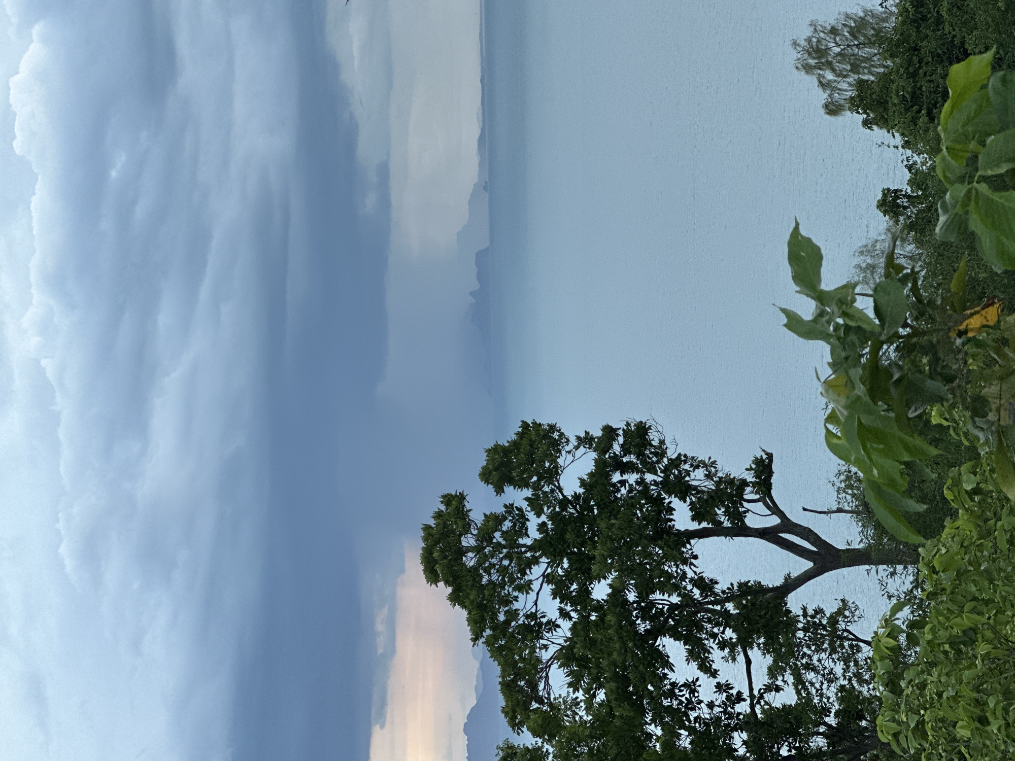The image displays a coastal landscape in Baan Pang Ka, Thailand, viewed from an elevated vantage point. The sky is largely covered by a thick layer of grey-blue clouds, with a noticeably darker and denser area on the right suggesting a distant rain shower or storm front. A faint band of lighter, reddish-orange hue is visible on the horizon towards the far left. The middle ground is dominated by a calm, light blue-grey sea that extends to the horizon. Along the distant horizon, a series of low-lying landmasses, appearing as hazy, dark silhouettes, are visible, partially obscured by atmospheric conditions. In the foreground and mid-ground, dense green foliage is prominent. A large deciduous tree with a split trunk and full green canopy stands centrally, partially silhouetted against the sea and sky. Other smaller trees and bushes fill the lower portion of the frame. No human subjects, animals, or man-made objects are identifiable within the scene.