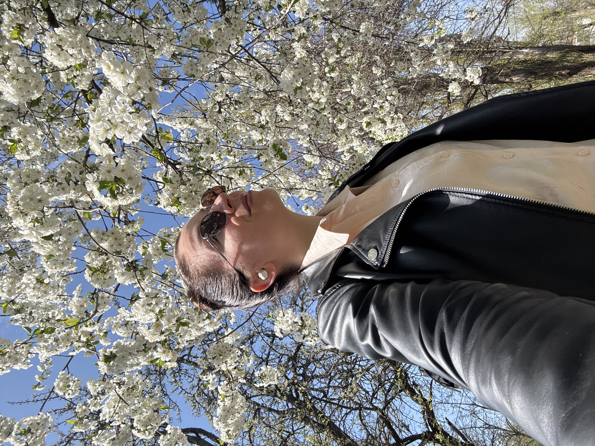 The image, presented with a vertical orientation, captures a low-angle perspective of a person looking upwards, positioned on the right side of the frame, with a flowering tree and blue sky filling the left and top portions. The person's head is tilted back, gazing towards the abundant white blossoms. They wear dark sunglasses resting on their nose, obscuring their eyes, and a small, pearl-like stud earring is visible in their left ear. Their dark hair is pulled back, and they are dressed in a light-colored (possibly cream or pale yellow) collared shirt underneath a black leather jacket.
The background is dominated by a dense canopy of small white flowers, likely from a cherry or apple tree, with scattered green leaves and visible bare branches, characteristic of early spring. A clear, bright blue sky is seen through the foliage, providing a vibrant contrast to the white blossoms. The scene is brightly lit by natural sunlight, suggesting a clear day during mid-morning to late afternoon. The overall atmosphere conveys a sense of serene appreciation for nature's beauty during springtime.
No text is visible in the image. The location context for this scene is Kryvyi Rih, Ukraine.