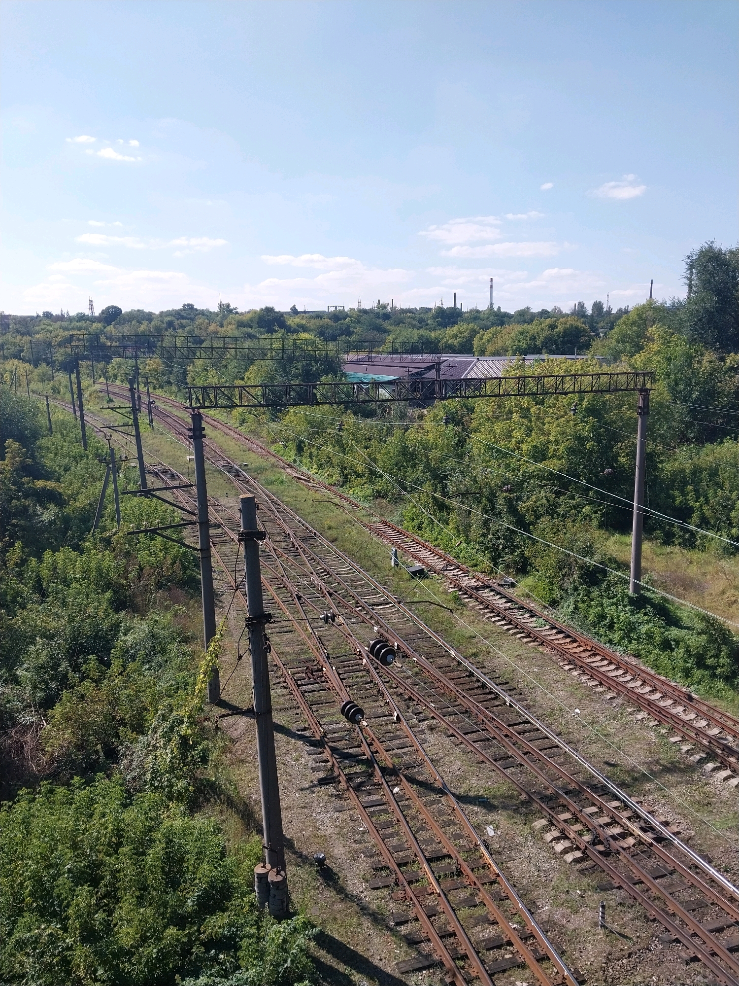 The image depicts multiple railway tracks running parallel to each other, surrounded by lush green vegetation. Tall, slender utility poles with wires stretch across the scene, accompanying the tracks. In the background, a line of trees forms a dense canopy, with some industrial structures and smokestacks visible above the trees, suggesting an industrial area. The sky is a clear blue with a few scattered white clouds. The overall impression is of a railway junction or a section of a railway line within or on the outskirts of an urban environment. This scene is located in the city of Dnipro, Ukraine.