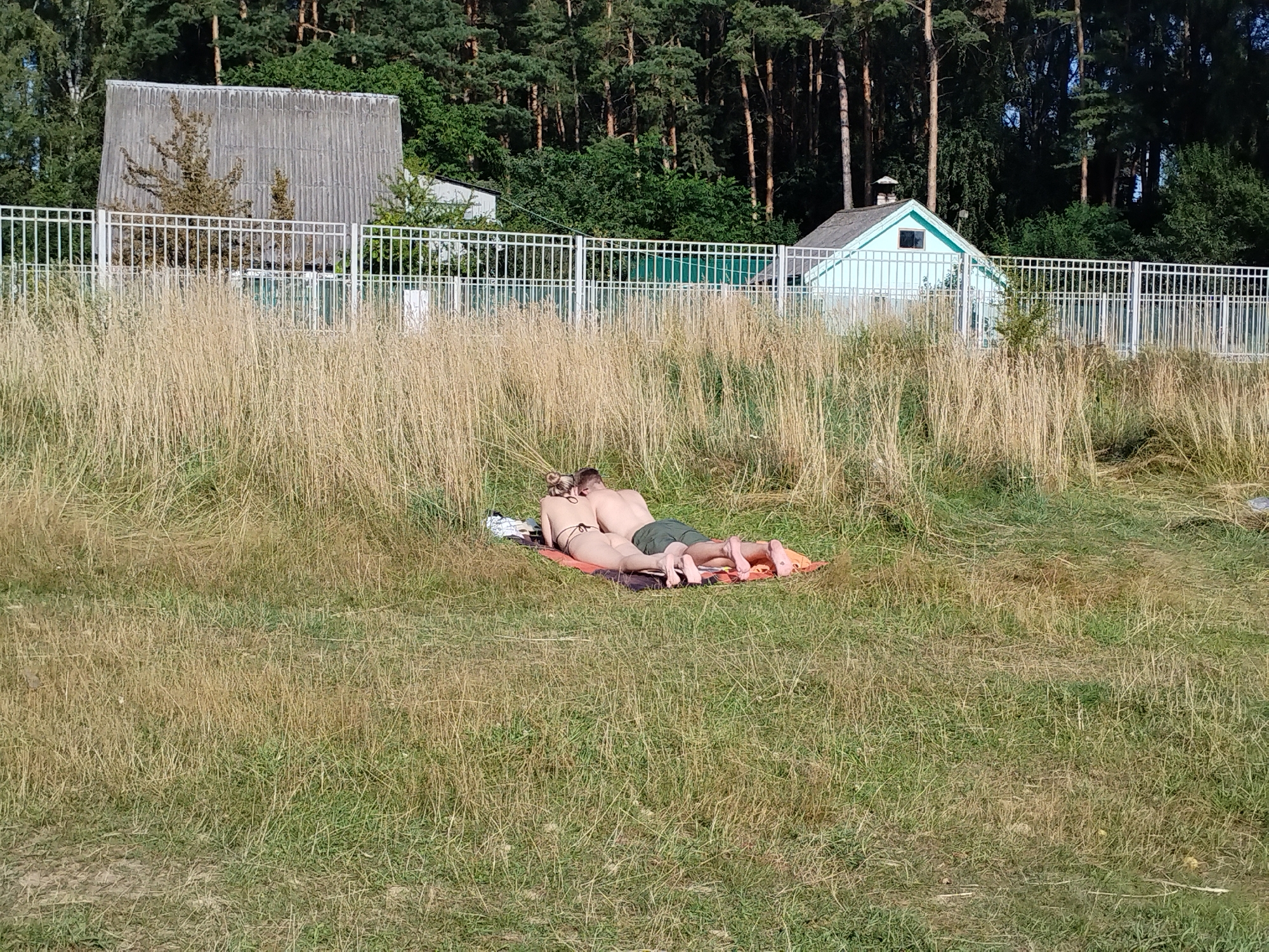 In a grassy field with dry, tall grass in the foreground, a couple lies on a blanket on their stomachs, facing away from the camera. The man wears dark green shorts, and the woman wears a dark bikini. Behind them, a white metal fence separates the field from buildings and a dense forest. To the left, a large, gray, corrugated building with a sloped roof stands partially obscured by trees. To the right of that, a small, light blue building with a dark roof and a chimney is visible. The background is dominated by a thick forest of tall pine trees under a clear sky. The scene appears to be in a rural or semi-rural area.