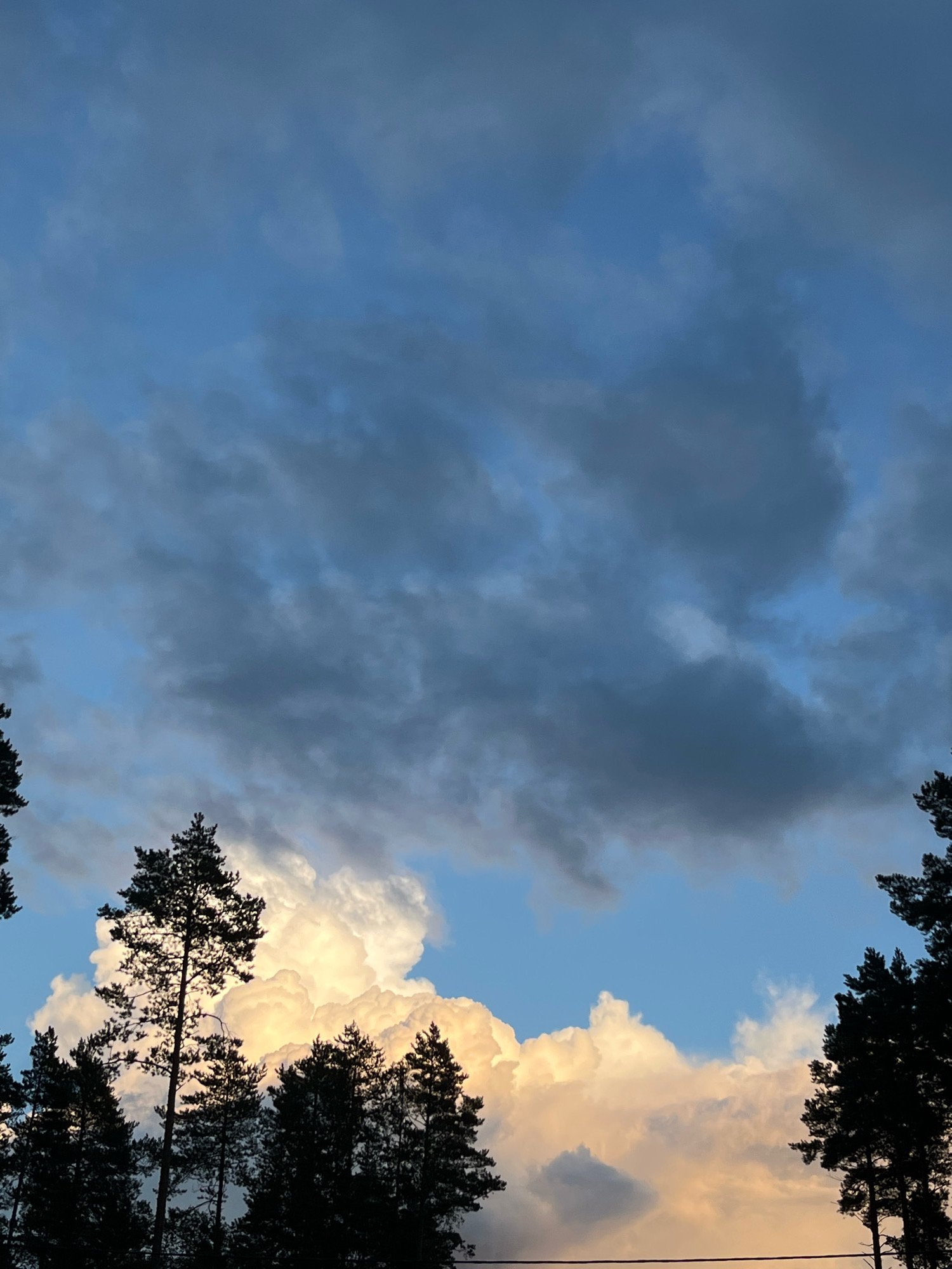 The image shows a dramatic sky above a line of pine trees. The sky is filled with dark, heavy clouds in the upper portion, transitioning to bright, illuminated clouds in the lower portion, likely reflecting sunset light. The trees are silhouetted against the brighter clouds and the sky. The scene is devoid of people or any specific urban elements, suggesting a natural landscape. The location in the city of Arfa, Russia, is noted, but the visual evidence does not contain specific markers to confirm this.