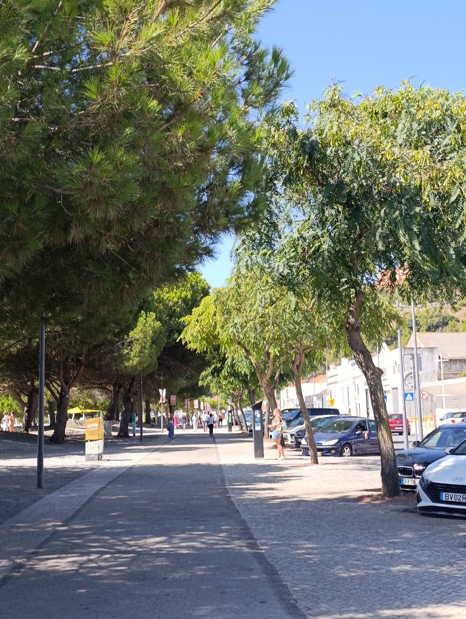 The image depicts a sunny day on a pedestrian walkway lined with trees, with a street and parked cars on the right. In the foreground, the walkway is paved with light-colored cobblestones, and shadows from the trees are cast across it. Several lampposts are visible along the walkway.
On the right side of the image, a street runs parallel to the walkway, with a row of parked cars. Some of these cars have visible license plates, including one that appears to read "33 OE" and another "BV02R". Buildings with white facades are visible in the background on the right, suggesting an urban or semi-urban setting.
On the left side of the walkway, there are more trees, predominantly pine trees with their characteristic needles, and some with lighter green foliage. Further back, there are people walking and standing, some of whom are dressed in casual summer clothing. A yellow trash receptacle is also present on the left.
The presence of palm trees and the architectural style of the buildings in the background suggest a Mediterranean climate. Without specific landmarks or signage that can be clearly identified as belonging to Setúbal, Portugal, pinpointing the exact location within the city is not possible from the visual information alone. However, the general atmosphere and vegetation are consistent with coastal areas in Portugal.