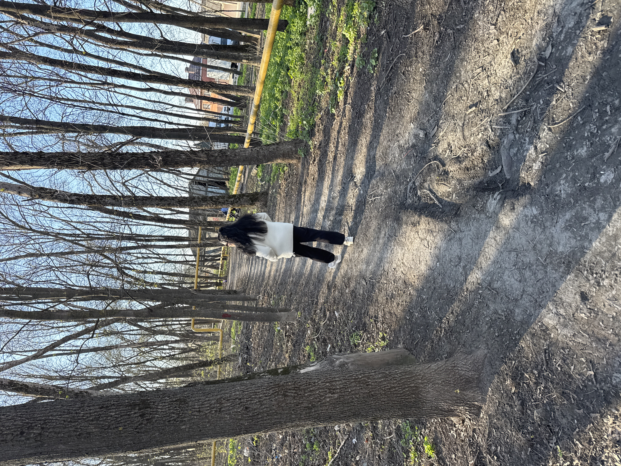 A medium-shot photograph depicts a scene in Rostov-on-Don, Russia. An individual with long, dark hair, wearing a white jacket and black pants, is walking along a dirt path. The path is lined with leafless trees on either side, creating a corridor effect. A yellow metal structure, possibly a barrier or railing, is visible along the left side of the path. Buildings can be seen in the background through the trees. The ground is covered in dirt, fallen leaves, and small branches. The lighting suggests it is daytime, with shadows cast by the trees. The overall impression is a somewhat neglected urban park setting.