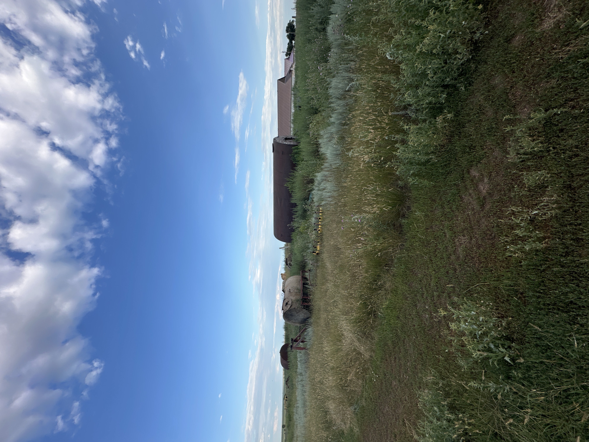 The image depicts an outdoor rural scene under a bright blue sky with scattered white clouds. In the foreground, tall, dry grasses and various green plants cover the ground. Several large, rusty cylindrical tanks are scattered across the landscape, some appearing to be old farm equipment or storage. One tank, positioned prominently in the mid-ground, rests on a metal support structure. Further in the background, several buildings with reddish-brown roofs are visible, suggesting a farmstead or small rural settlement. The overall impression is of an arid, somewhat neglected rural environment. The provided location of Баягиз, Kazakhstan, implies this scene is situated in a steppe or desert-like region.