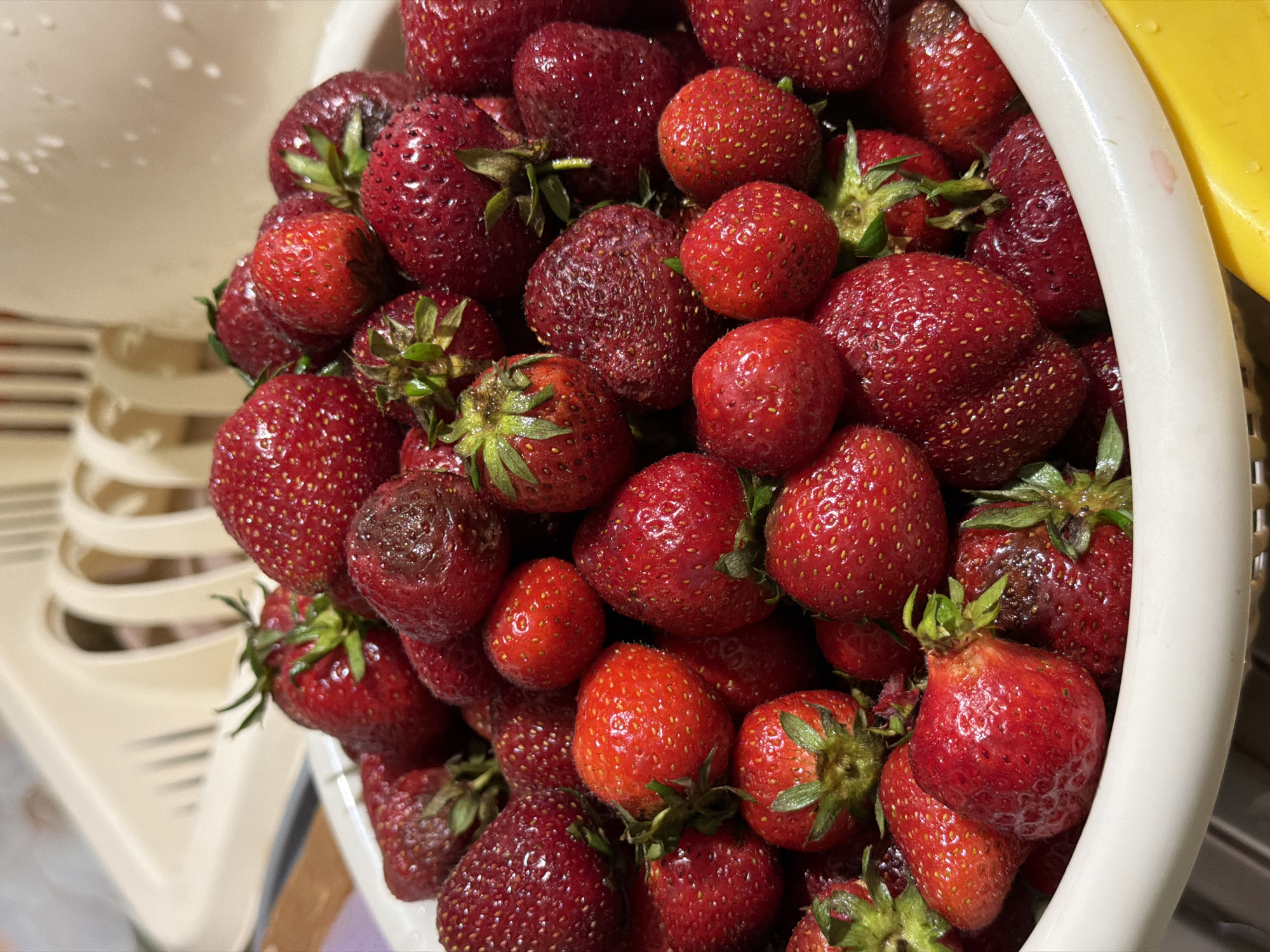 A white bowl filled with ripe strawberries is captured in a close-up, overhead shot. The strawberries, varying in size and shape, are a deep red color with visible seeds and green stems. Some strawberries show slight bruising or imperfections, suggesting they are fresh and have been recently picked. The bowl itself is made of white plastic with a ribbed texture. In the background, out of focus, is a beige plastic dish drying rack with multiple slots. The lighting appears to be natural, casting soft shadows on the fruit. The overall scene suggests a domestic setting, likely a kitchen, with the strawberries ready to be consumed or prepared.