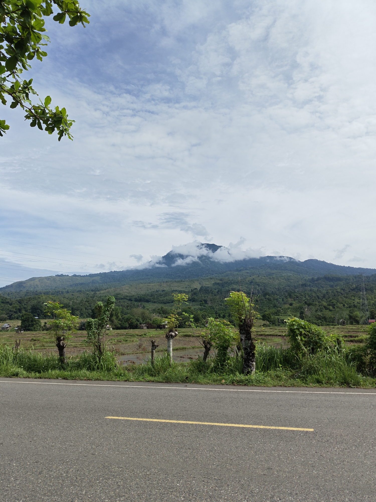 The image depicts a rural scene in Lamtamot, Indonesia. A paved road with a yellow centerline marking the passing zone runs along the bottom of the frame. Beyond the road, vegetation grows along the roadside, including tall grasses and small trees. In the middle ground, a cultivated field is visible. A large, forested mountain rises in the background, its peak partially obscured by low-lying clouds. The sky is overcast with a mix of blue sky and white clouds. A branch with green leaves is visible in the upper left corner of the image.