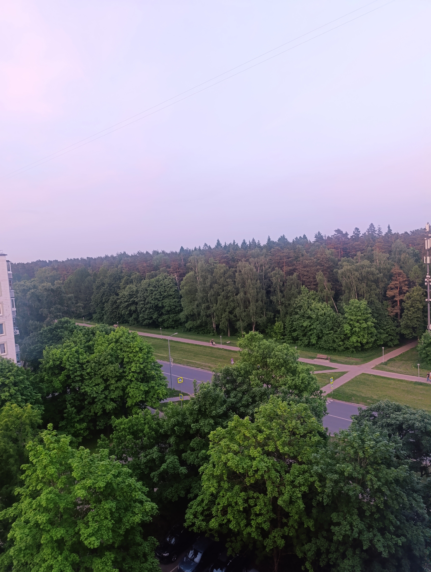 The image captures an elevated view of a densely vegetated area in the city of Unknown, Unknown. The scene includes a mix of deciduous and coniferous trees, creating a vibrant green landscape. A road runs through the trees, with marked pedestrian crossing. A tower is visible among the trees on the right side of the frame. The sky is a pale pink, suggesting either sunrise or sunset. In the foreground, tree crowns obscure a parking lot with several cars. There are people walking on pathways in the green space. A building is visible to the left.