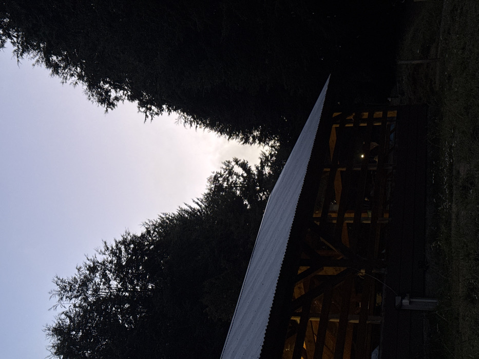 The image depicts an outdoor scene at dusk or dawn in Villa La Angostura, Argentina. A large, open-sided wooden structure with a corrugated metal roof occupies the lower left and central portion of the frame. Its interior is illuminated with a warm, yellowish light, revealing wooden beams forming the structural framework. Within the illuminated interior, indistinct shapes suggest furniture and potentially one or more individuals; a bright, circular light source is visible on the far right side of the structure's interior. The ground in the immediate foreground is dark and grassy. Dense, dark coniferous trees flank both sides of the sky, creating a V-shaped opening towards the top center. The sky exhibits a light blue-grey to white gradient, indicating ambient low light conditions.