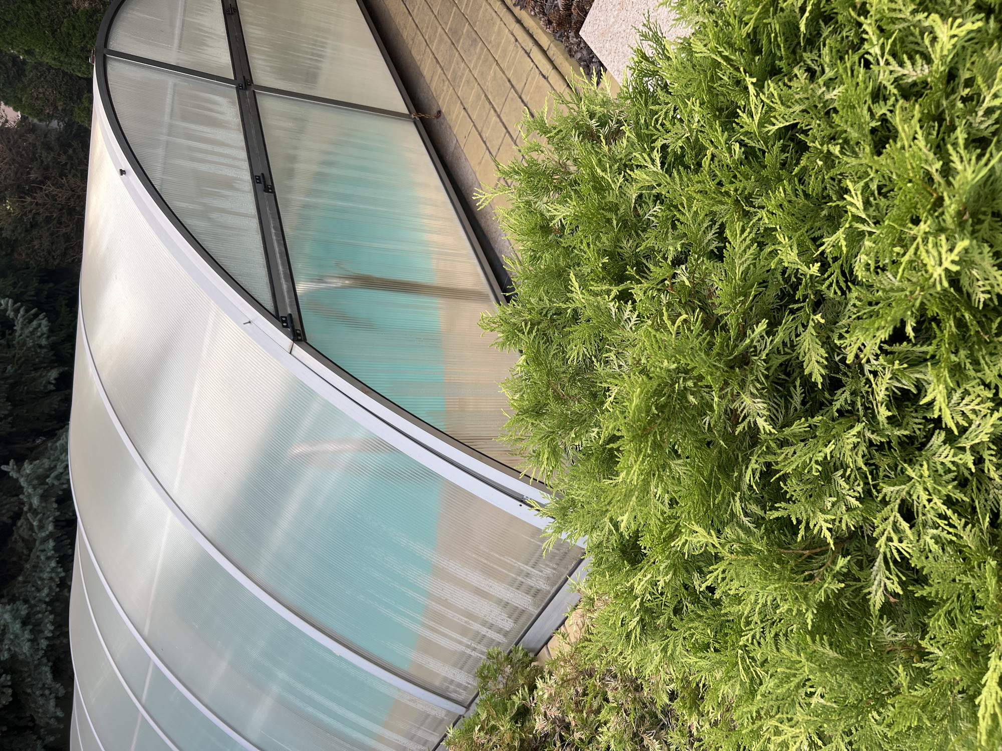 A covered swimming pool is pictured, with a translucent, curved roof made of segmented panels supported by a metal frame. The pool water, visible through the roof, is a turquoise color. In the foreground, lush green foliage from a coniferous bush partially obscures the view of the pool's edge and the tiled walkway beside it. The scene appears to be an outdoor setting, possibly a backyard or a private facility, and gives no indication of a specific location within Fontanka, Ukraine.