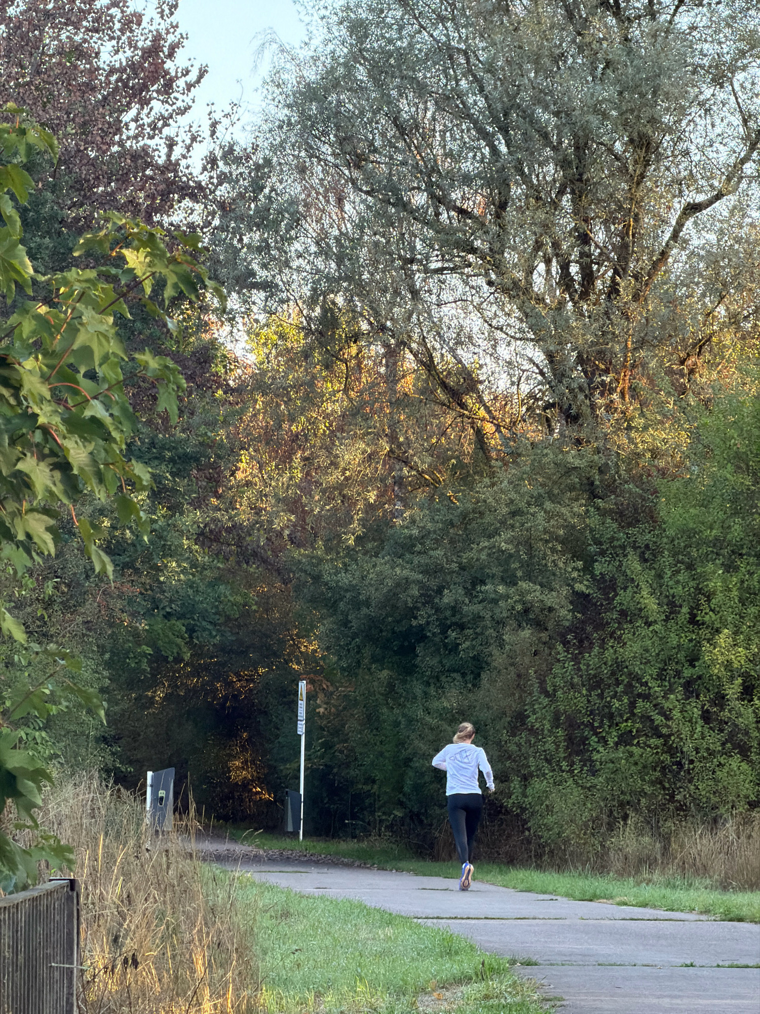A blonde-haired person with their back to the camera is jogging on a paved path through a park in Schifflange, Luxembourg. The jogger is wearing a white long-sleeved shirt with a graphic on the back and black leggings. The path is bordered by grass and dry reeds on one side, and dense green trees and bushes on the other. Sunlight filters through the trees, creating dappled light and shadows on the path and foliage. In the background, there are tall trees, some with light-colored leaves and branches, others with darker foliage. A white pole with signs is visible on the left side of the path. The overall scene depicts a serene outdoor environment, likely early morning or late afternoon, given the quality of the light.