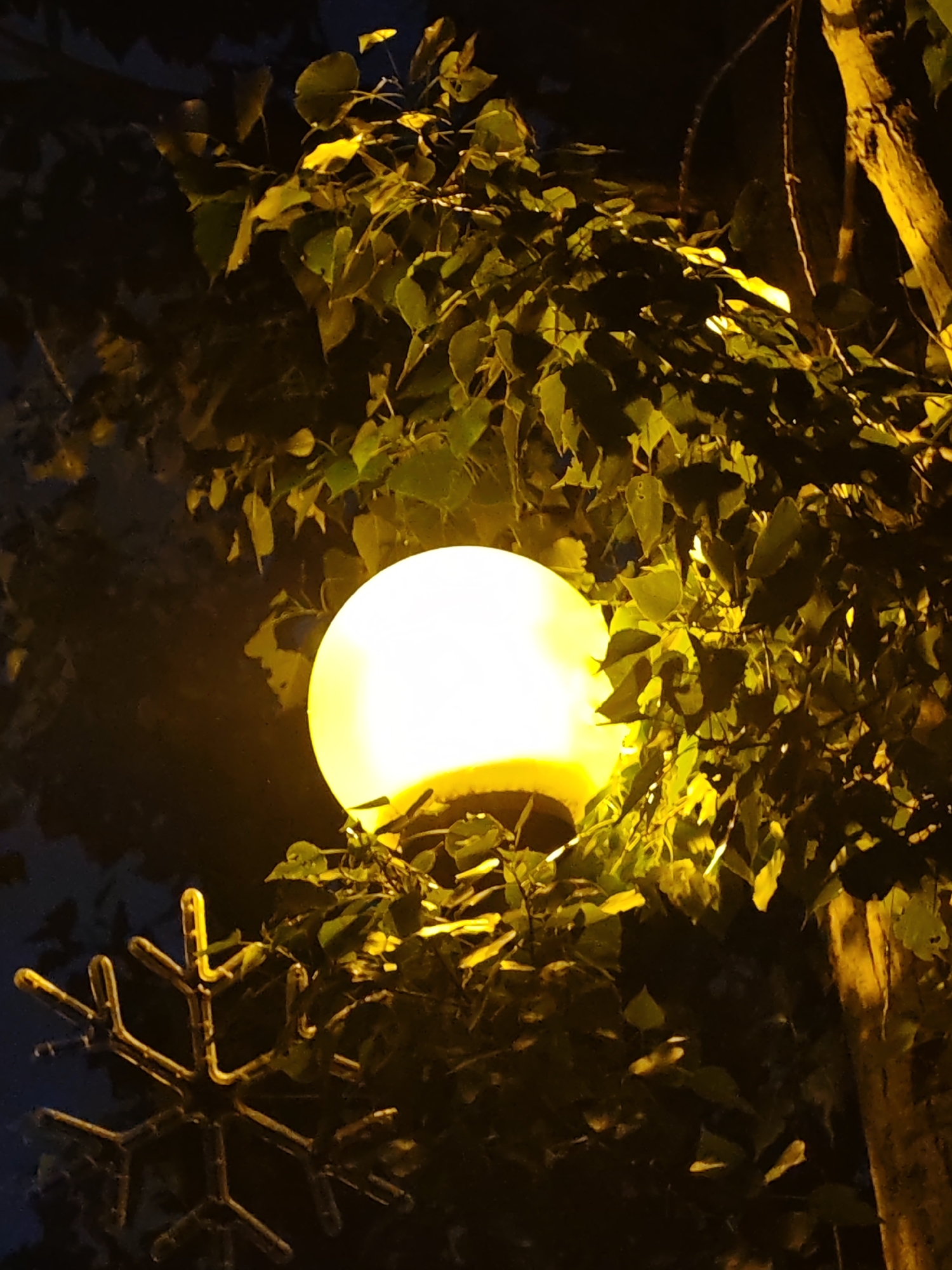 Captured at night in an unknown city, the scene features a round streetlamp emitting a bright yellow glow, partially obscured by foliage. The leaves of nearby trees and a tree trunk are illuminated by the lamp, while a decorative snowflake-shaped object appears in the lower-left corner. The surrounding environment is dark.