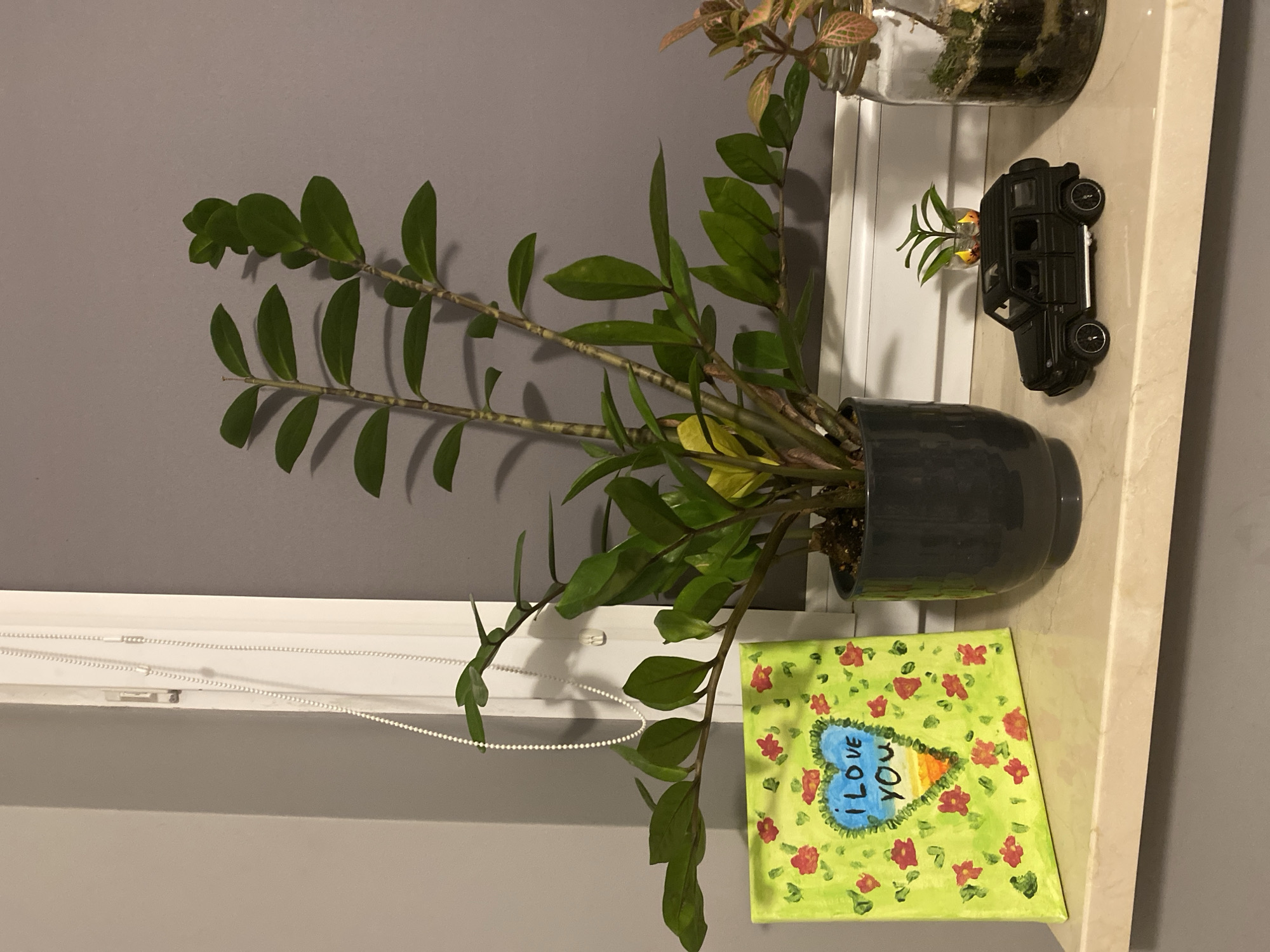 An indoor still life arrangement is displayed on a beige marble windowsill. The arrangement consists of three distinct elements from left to right: a small, square painting, a potted plant, and a miniature terrarium. The painting, positioned on the left, is a vibrant lime green canvas adorned with scattered red flowers and a central blue heart that reads "I LOVE YOU." To the right of the painting is a dark grey ceramic pot containing a large ZZ plant with numerous glossy green leaves and some yellowing foliage. Directly in front of the potted plant sits a black toy SUV. To the right of the toy car is a glass jar repurposed as a terrarium, housing small plants and moss. The background features a plain gray wall and a white window frame with a white beaded blind cord. The scene is illuminated by artificial light, casting soft shadows. There are no people visible in the image. The location is not specified to be in Łódź, Poland.