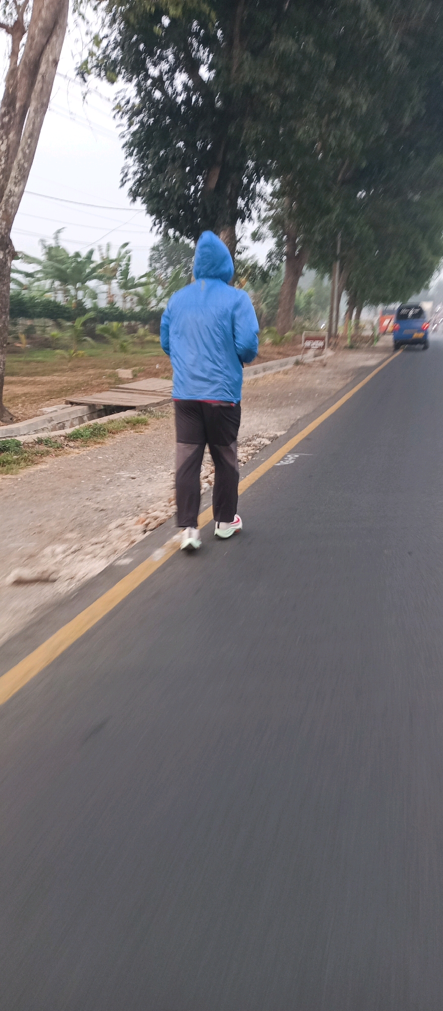 A full shot captures a person from behind, wearing a bright blue hooded jacket, dark pants, and white athletic shoes with pink accents. The individual is walking or jogging on an asphalt road with a yellow line marking the edge. To the left of the road, there is a gravel and dirt shoulder with a small wooden bridge crossing a narrow ditch. Beyond the shoulder, vegetation and trees are visible, including what appear to be banana trees. The background shows more trees and a hazy sky, suggesting an outdoor environment. In the distance, a blue vehicle is driving on the road. The scene appears to be in a semi-rural or suburban area, possibly near Subang, Indonesia, given the vegetation and the presence of banana trees.