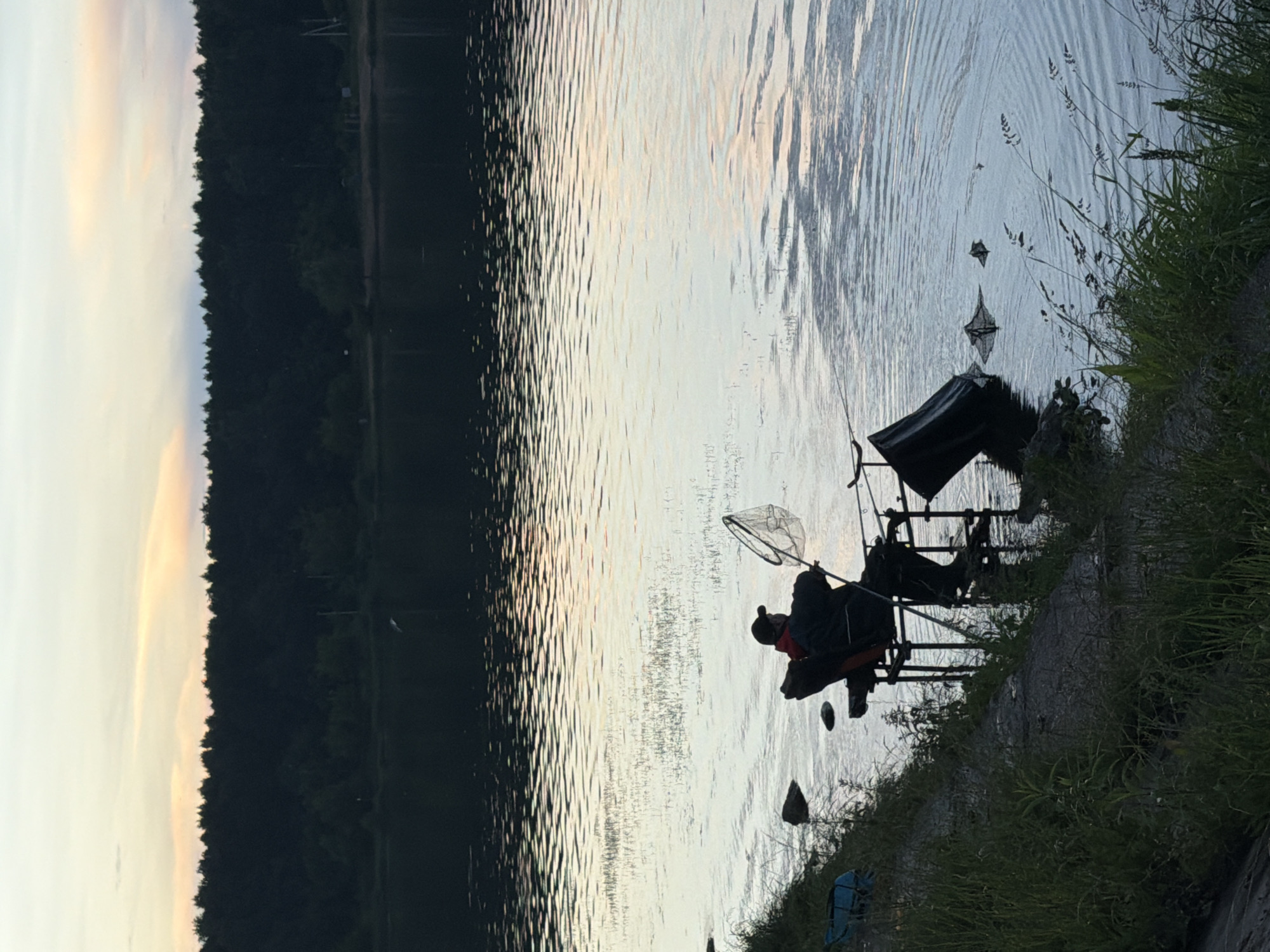 A single person is fishing from a foldable chair at the edge of a body of water during twilight. The individual is wearing a dark jacket, a cap, and possibly waders. They are holding a fishing net in their right hand. In front of the fisherman, there is a fishing rig with rods and a black net bucket, partially submerged in the water. The water surface exhibits gentle ripples reflecting the soft, pastel colors of the sunset sky, with hues of pink, orange, and light blue. The background features a dense, dark line of trees forming a forest that stretches across the horizon. The foreground consists of a grassy embankment leading down to the water's edge. A blue tarp or bag is visible on the embankment to the left. The overall atmosphere suggests a peaceful, serene end to the day.