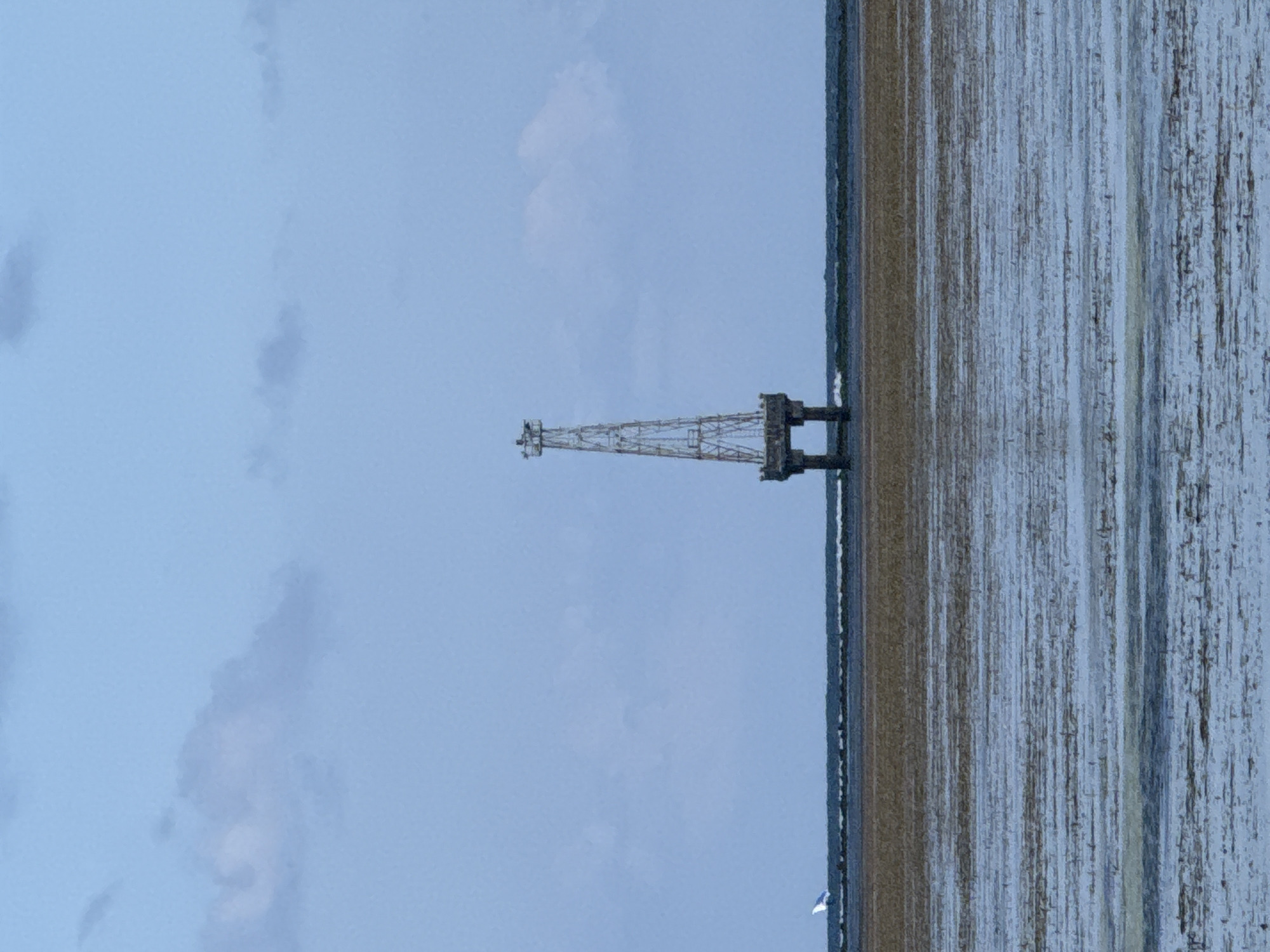 The image shows a tall, skeletal structure, possibly a lighthouse or radio tower, standing in the ocean. It is a daytime, outdoor scene with a cloudy sky. In the foreground, the water is shallow and appears to be low tide, revealing a muddy or sandy seabed covered with seaweed. The tower is supported by a concrete base with two visible pillars. In the distance, a small white object with blue accents, possibly a boat or a buouy, is visible on the horizon. The image is a full shot of the scene. The location is not specified in the image.