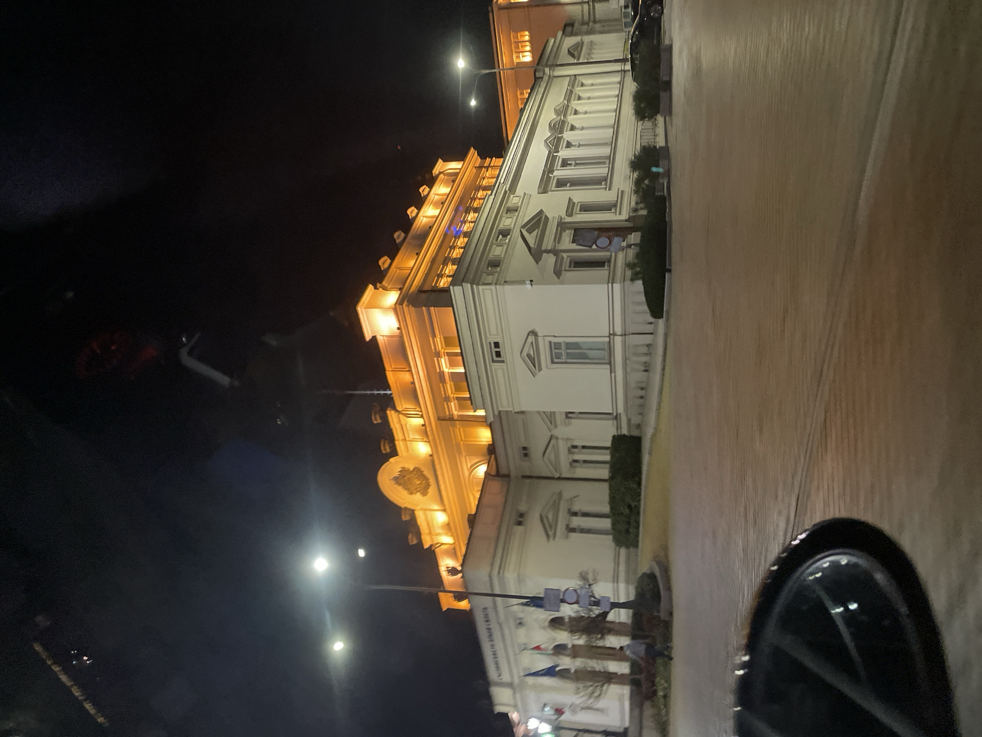 At night, the picture shows the National Assembly of Bulgaria in Sofia. The edifice has a pale facade and is brightly lighted. The building has a series of columns and a central pediment. The street is paved with stones. A car's side mirror is visible in the lower right. Several flags are displayed in front of the building. There are street lamps along the street. The rest of the surroundings are dark.