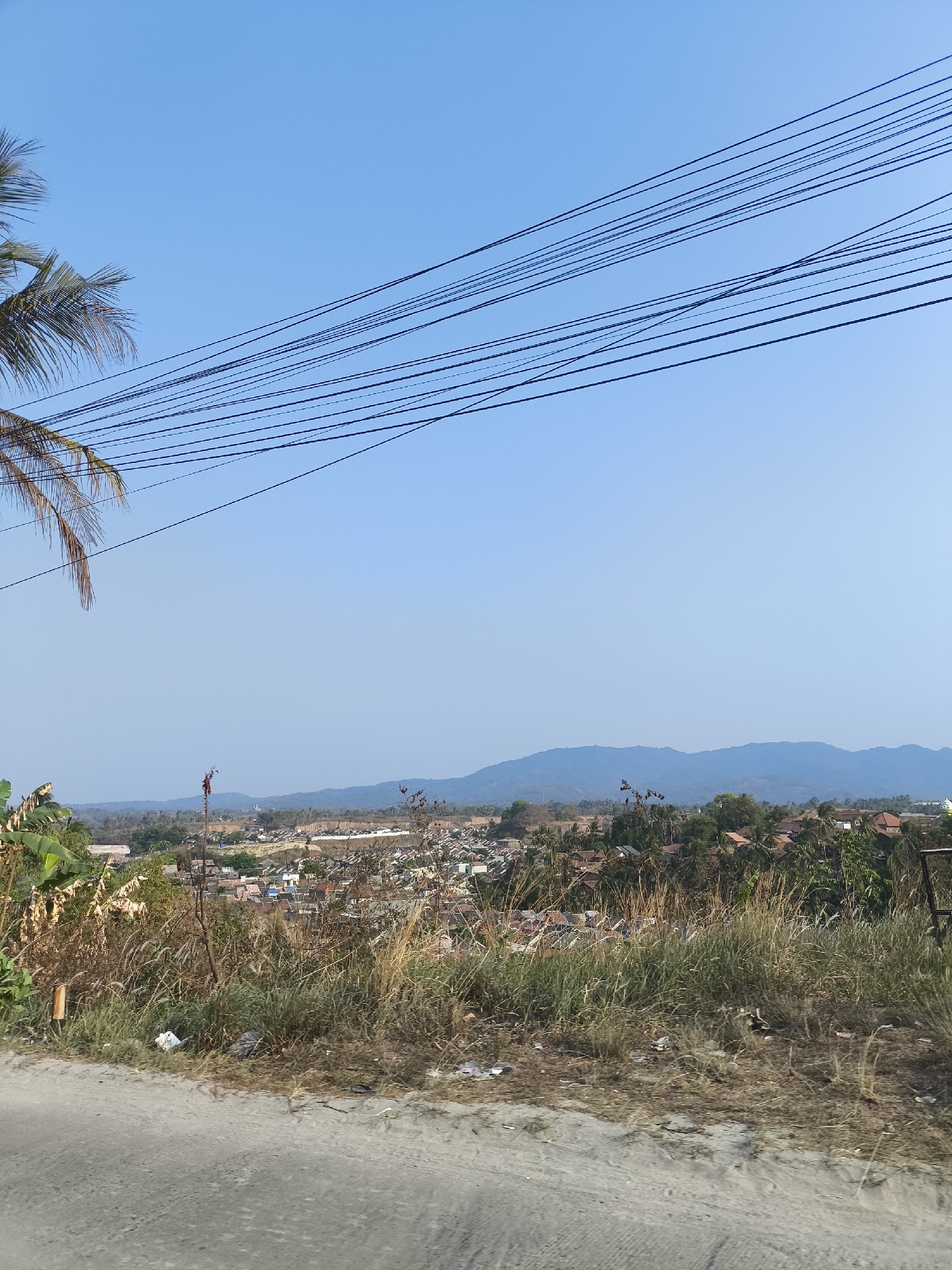 The image shows a panoramic view of a densely populated area in Cilegon, Indonesia, under a clear blue sky. The foreground features a road or pathway with dry grass and some scattered litter. A palm tree frond is visible on the left, and a cluster of green leafy plants is also present. Beyond the immediate foreground, the landscape slopes down to a town with numerous houses, many with orange or brown tile roofs, nestled amongst dense vegetation, primarily palm trees and other tropical foliage. In the mid-ground, a tall communication tower with some red elements stands out. In the background, rolling hills and mountains are silhouetted against the horizon. Overhead, a network of power lines stretches across the sky, obscuring the upper portion of the frame. The overall impression is of a vibrant, lived-in urban environment with a natural backdrop.