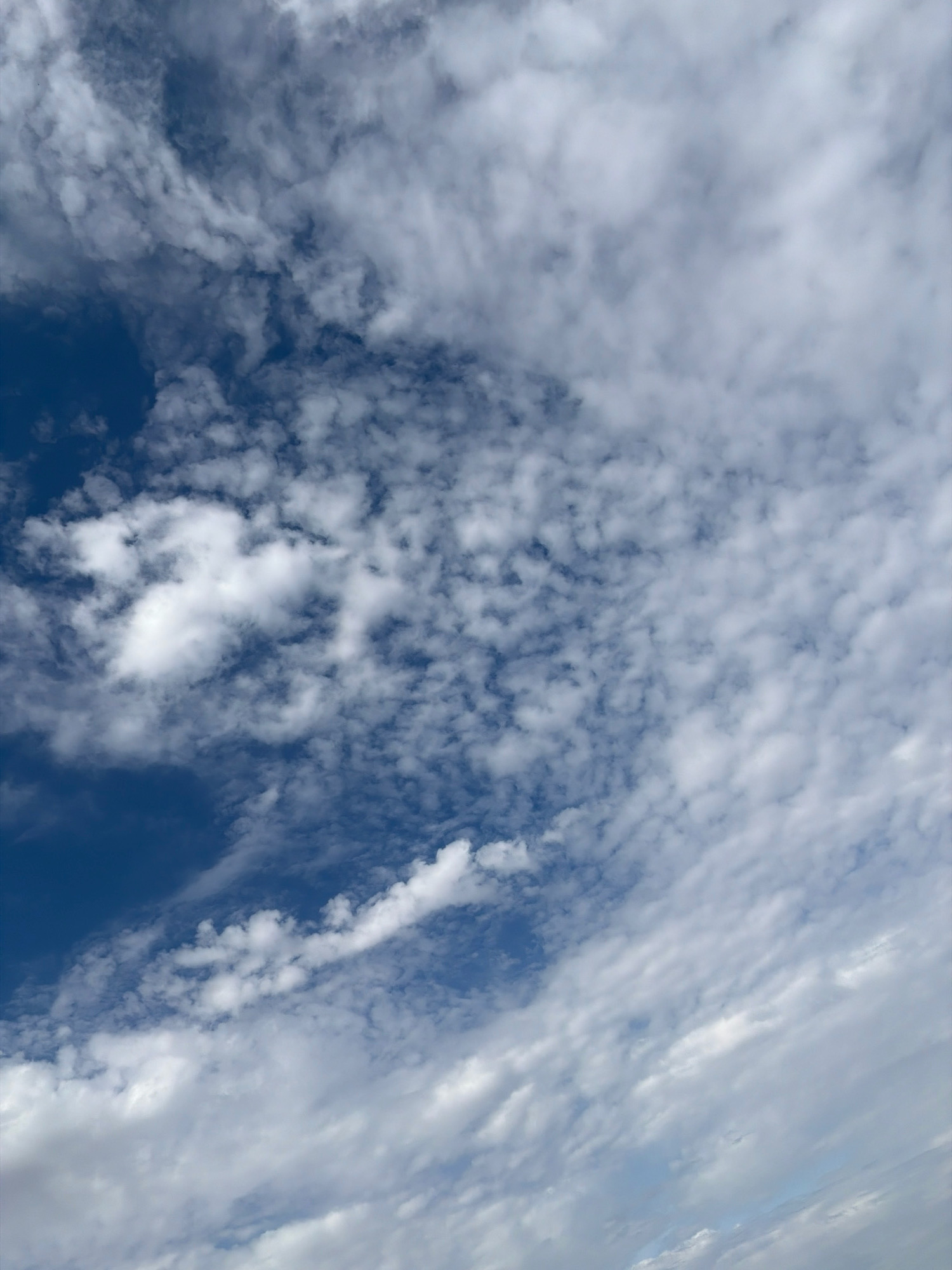 A photograph captures a segment of the sky above Astana, Kazakhstan. The image is dominated by a vast expanse of clouds against a deep blue backdrop. The clouds are varied in texture and density, ranging from thin, wispy cirrus formations to larger, more opaque cumulus clouds. Some clouds are bright white, indicating they are well-lit by sunlight, while others are tinged with gray, suggesting they are thicker or in shadow. The overall impression is one of a dynamic and overcast sky, typical of many weather patterns. There are no identifiable landmarks, structures, or people visible in the frame, making the location solely identifiable by the contextual information provided. The perspective suggests the photograph was taken from ground level, looking upwards.