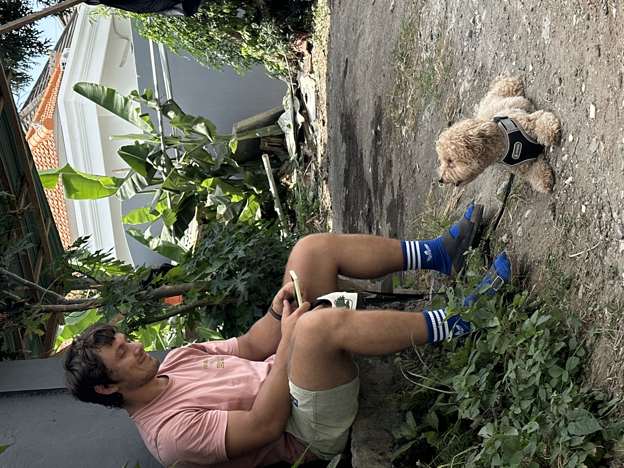 A man wearing a pink t-shirt, tan shorts, blue and white striped socks, and blue sandals sits on a concrete ledge outdoors. He is looking down at a small, curly-haired light brown dog that is lying on the ground in front of him. The dog is wearing a black harness. The background shows a grey wall, banana trees, and a white building with an orange tiled roof. The ground is a mix of dirt and gravel with some scattered debris. The scene appears to be in a residential outdoor area, possibly a yard, in North Kuta, Indonesia.