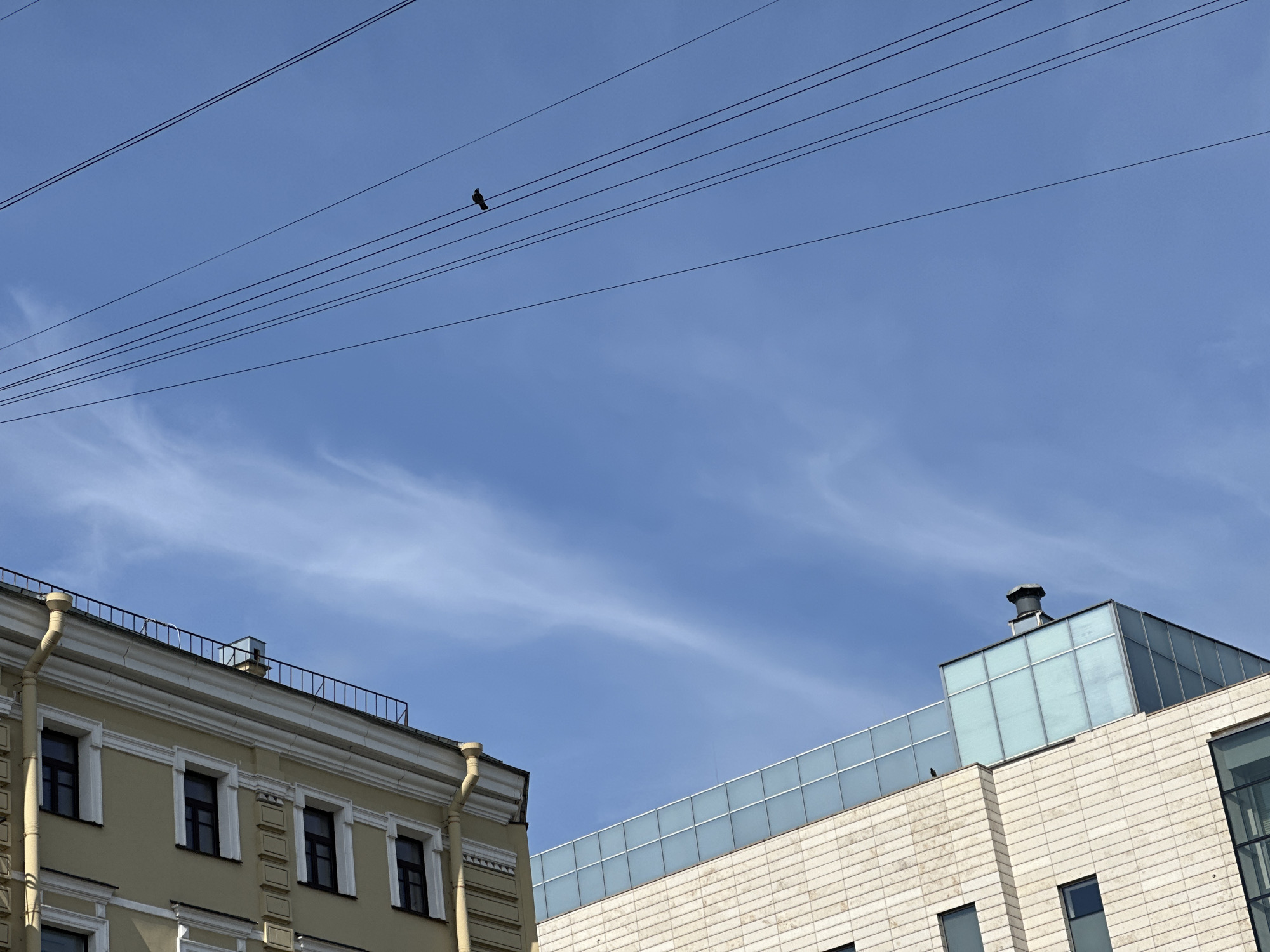 The image shows a view of the sky above Saint Petersburg, Russia. High-tension electrical wires cross the top of the image, with a bird perched on one. Below, the tops of two buildings are visible. On the left is a yellow building with a metal railing. On the right is a modern building with beige stone and a glass cube on top. A second bird is perched on top of the beige stone. The sky is blue with wispy clouds.
