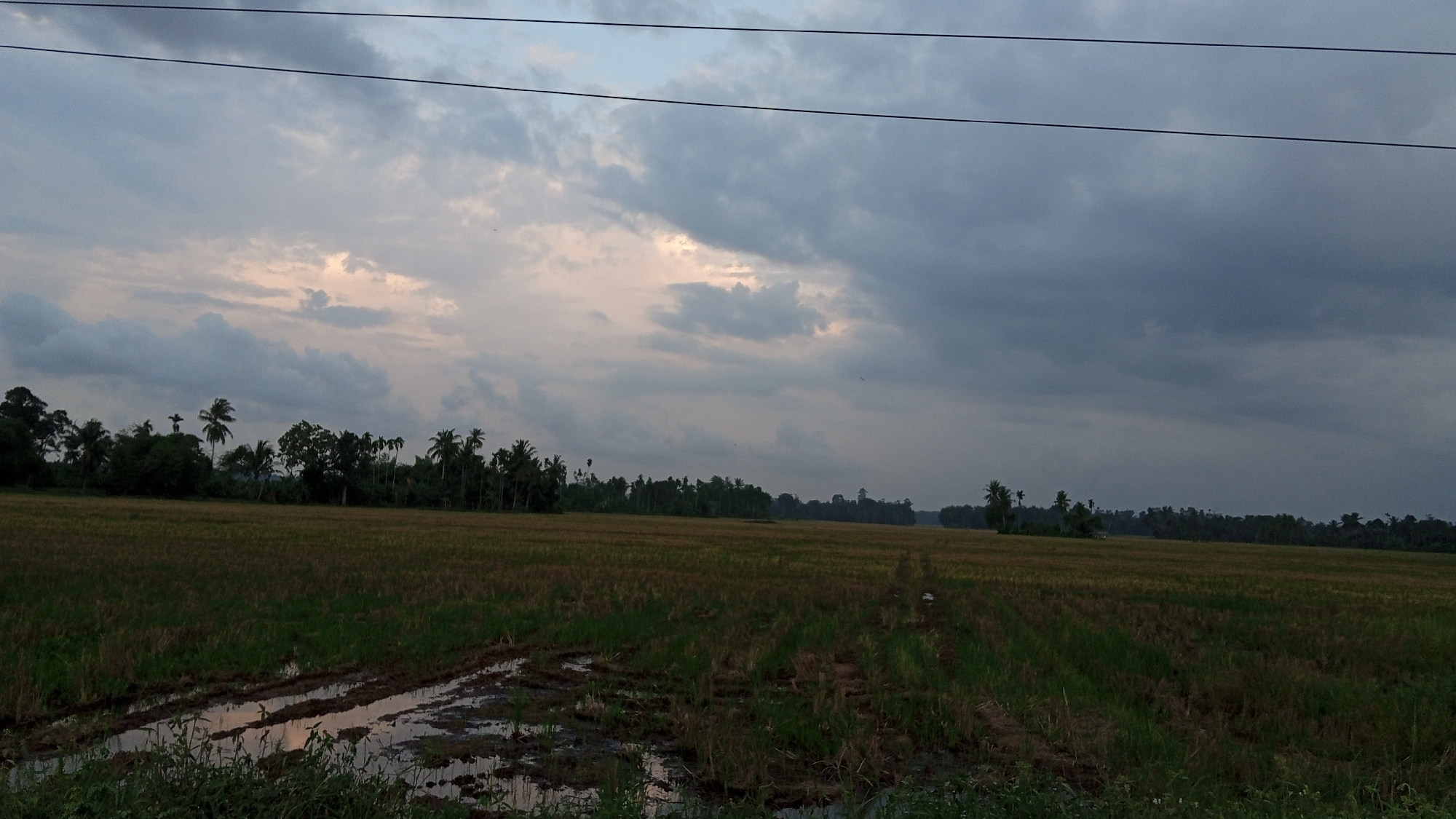 The image depicts a harvested rice paddy field in Kilometer Delapan, Indonesia under an overcast sky. Remnants of the rice crop cover the field, with some patches of green regrowth. Waterlogged furrows are visible in the foreground. A line of trees, including palm trees, borders the field in the middle distance. Two power lines are strung across the upper portion of the frame. The sky is filled with heavy, dark clouds, with a small area of lighter sky visible towards the left side of the frame.