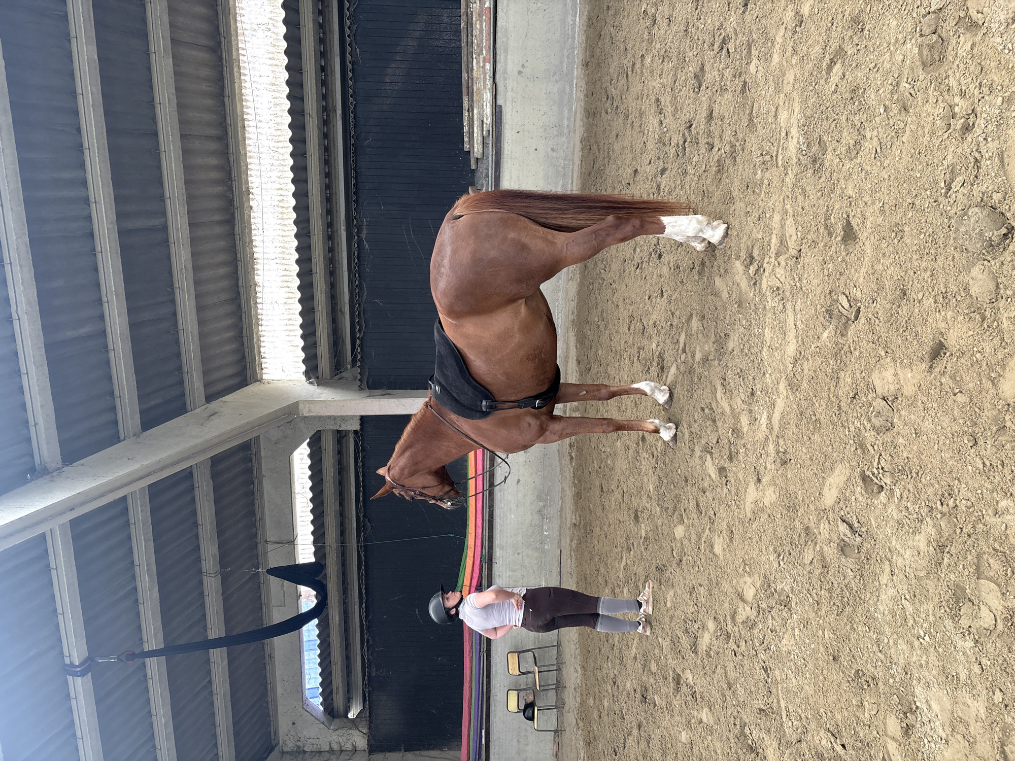 An indoor riding arena in Estaimpuis, Belgium, is depicted with a brown horse and a person. The horse, a chestnut with a long dark mane and tail and white stockings on all four legs, stands in the center of the frame, facing right. It wears a black English-style saddle and a bridle. To the left of the horse, an adult female stands, facing the horse with her hands on her hips. She wears a white short-sleeved top, dark riding breeches, grey socks over her breeches, and light-colored athletic shoes. A black riding helmet is on her head.
The arena floor is covered in light brown sand or dirt, showing various footprints and hoofprints. The ceiling features corrugated metal sheets supported by prominent concrete beams, with bright natural light filtering through gaps in the roof structure. The far wall of the arena is dark, possibly black paneling. A colorful rainbow-striped banner is visible along this wall behind the person. Two yellow and black chairs are placed behind the person, with another black riding helmet resting on one of them. A black fabric strap hangs from the ceiling structure in the foreground. The scene appears calm and well-lit, suggesting daytime. No discernible text is visible.