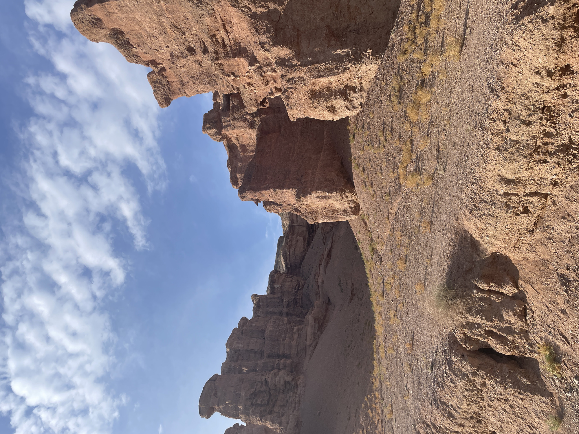 The image depicts a desolate, rocky landscape with towering, eroded red sandstone formations under a blue sky with scattered white clouds. The ground is covered in a reddish-brown soil with sparse dry vegetation. The formations suggest a canyon or a natural amphitheater. The scene is located in the Charyn Canyon, near the village of Tamerlik in Kazakhstan. There are no people or animals visible in the image. The lighting indicates it is daytime, likely morning or late afternoon, given the angle of the shadows.